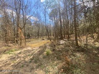 Turkey Creek Road Property Photo 16