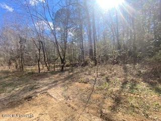 Turkey Creek Road Property Photo 17