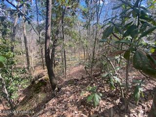 Turkey Creek Road Property Photo 18