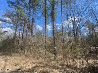 Turkey Creek Road Property Photo 19