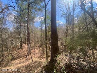 Turkey Creek Road Property Photo 20