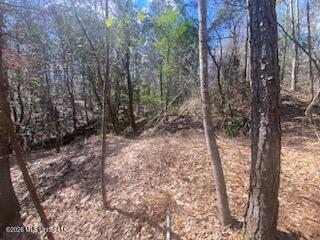 Turkey Creek Road Property Photo 22