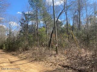 Turkey Creek Road Property Photo 23
