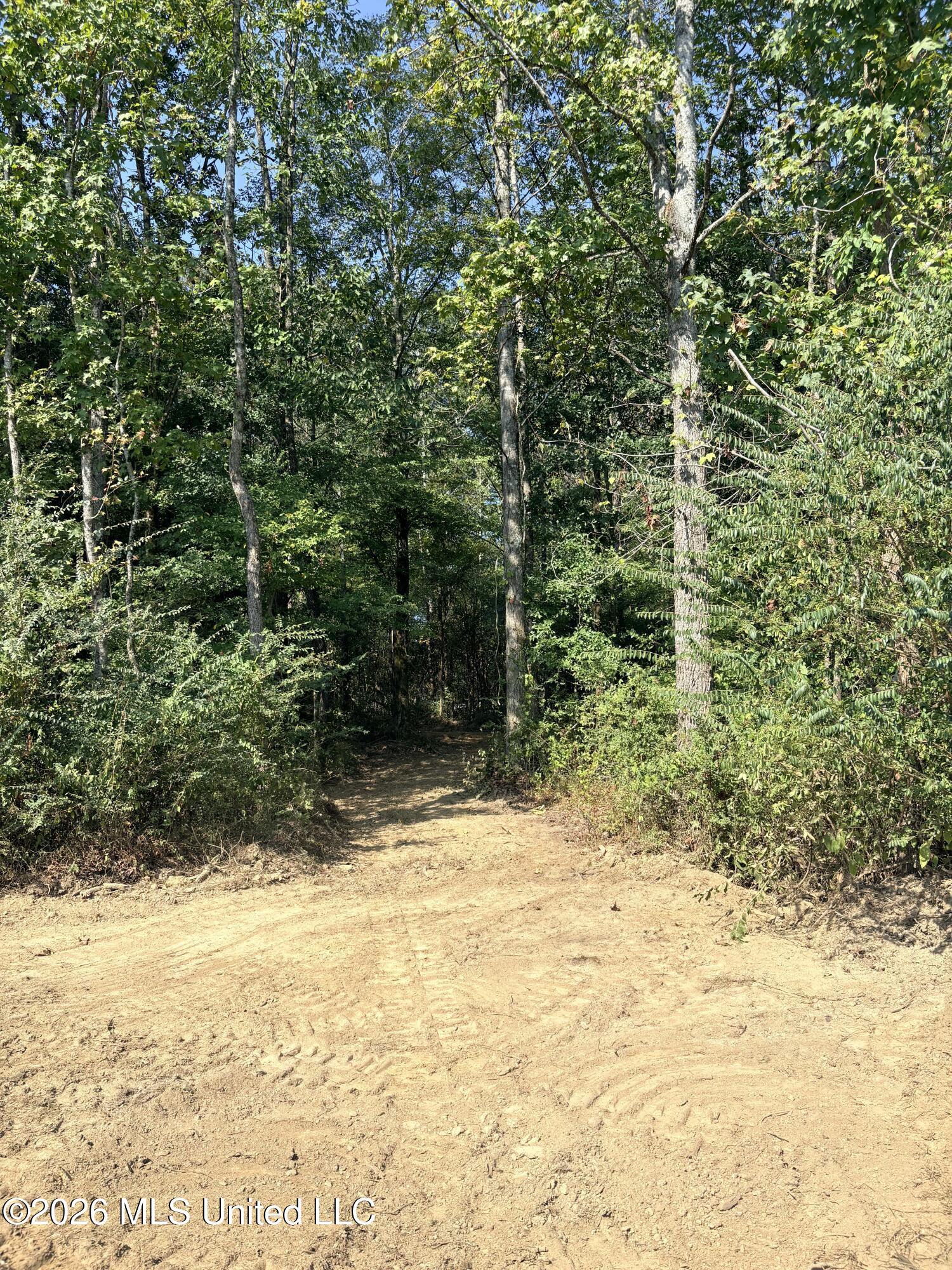 45 Centerline Roper Loop Property Photo 36