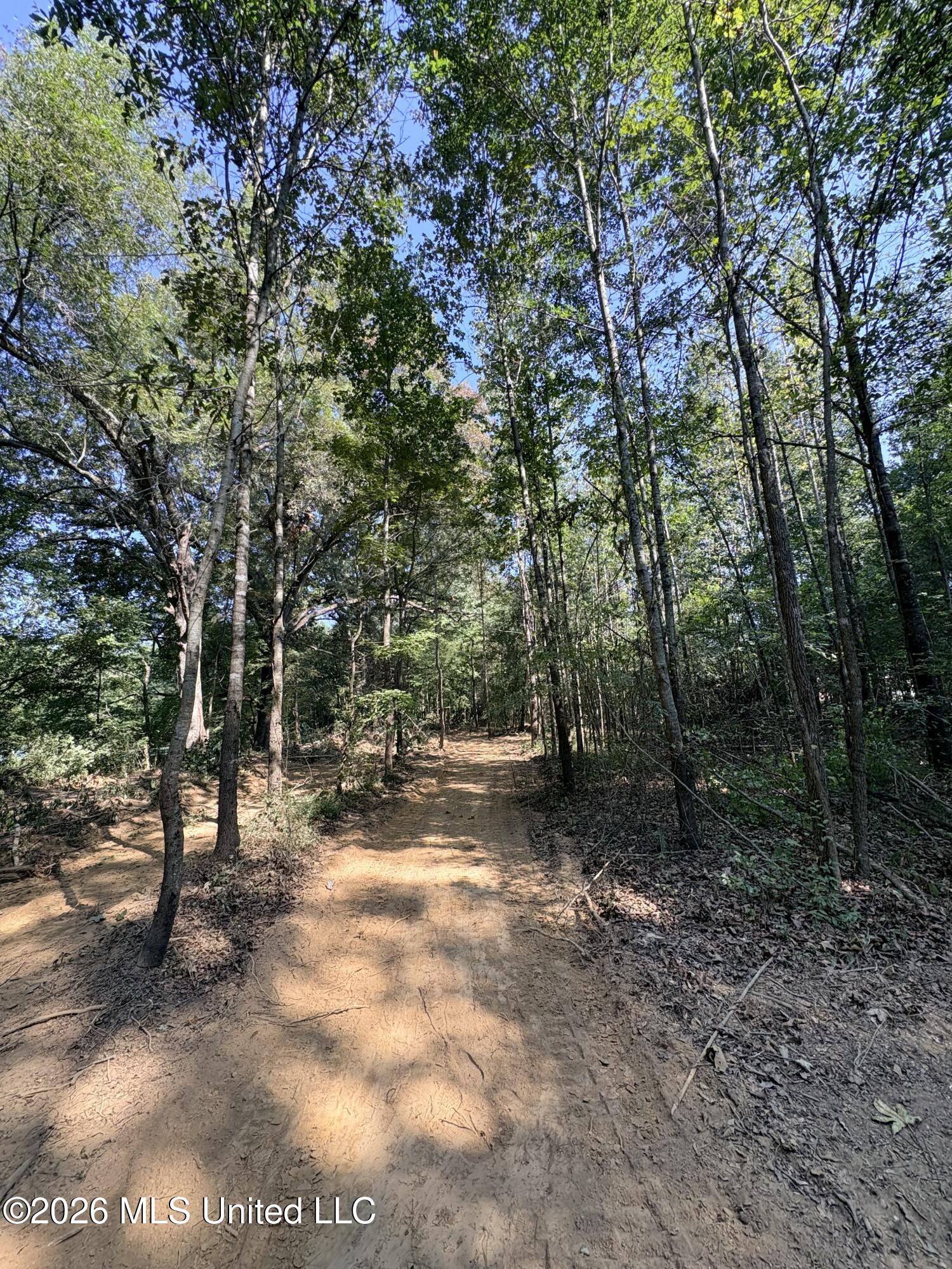 45 Centerline Roper Loop Property Photo 38