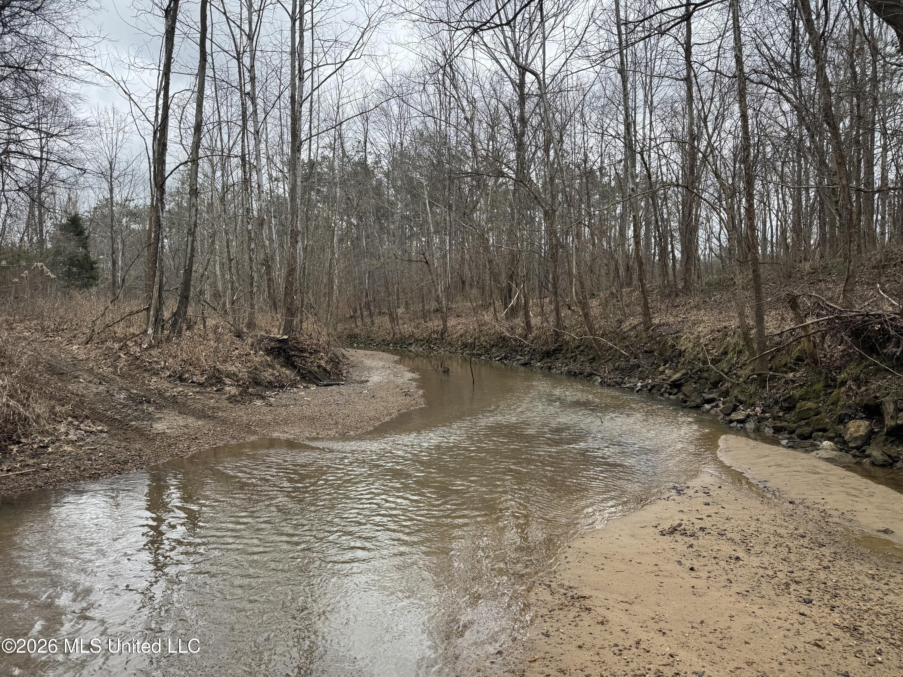 157 Eulogy Road Property Photo 15