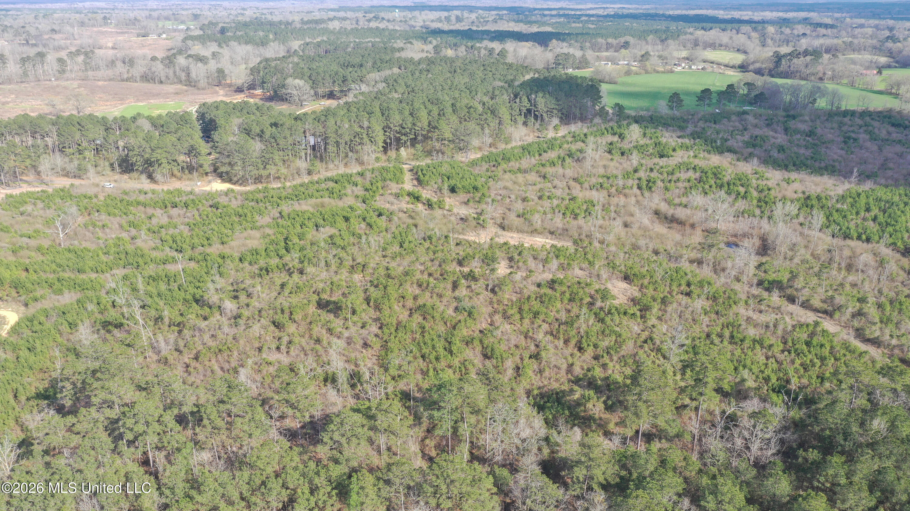 Warren Hill Place Property Photo 1
