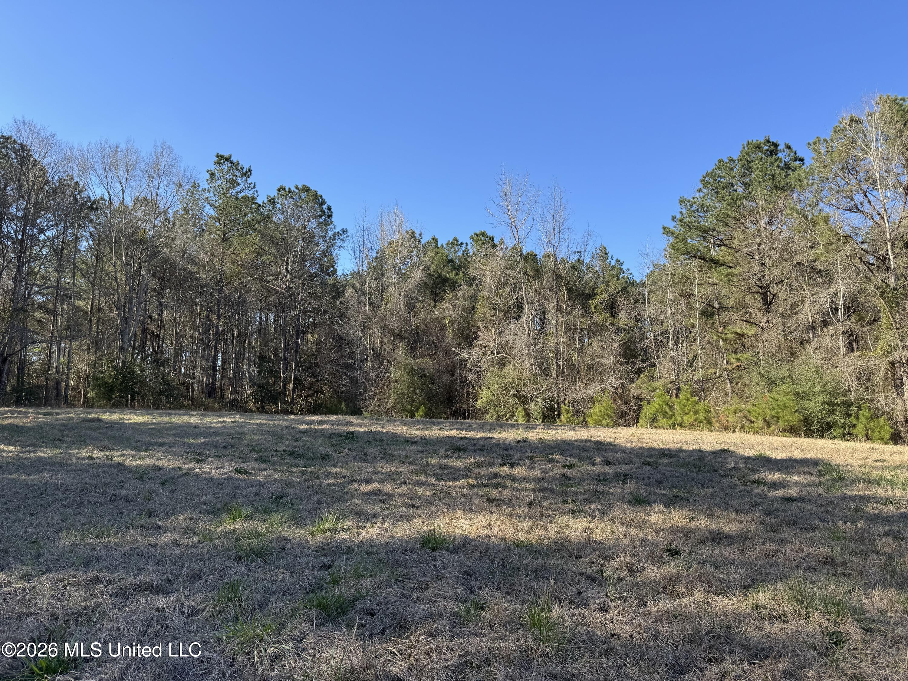 29 Sontag-nola Road Property Photo 1