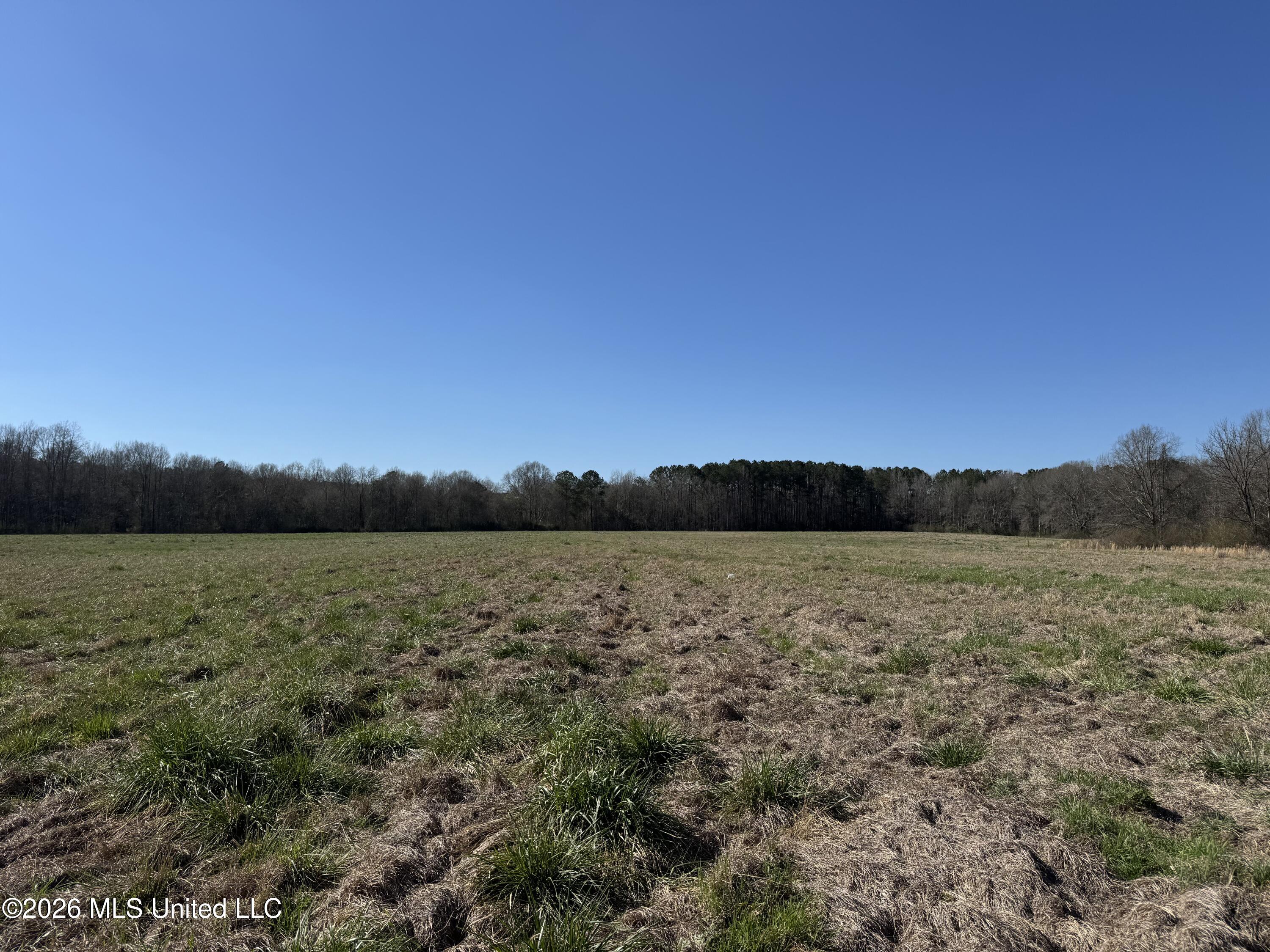 29 Sontag-nola Road Property Photo 7