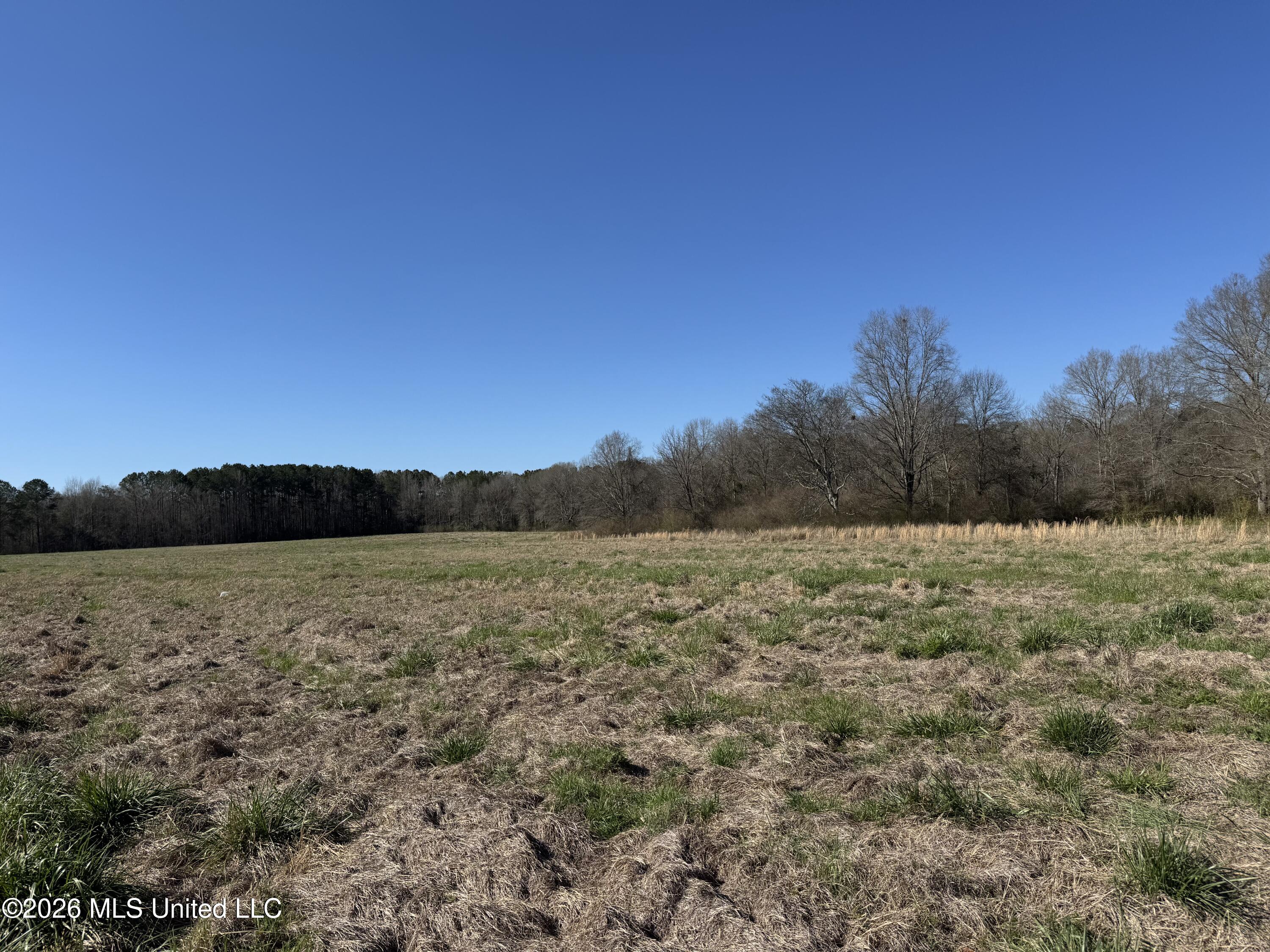 29 Sontag-nola Road Property Photo 19