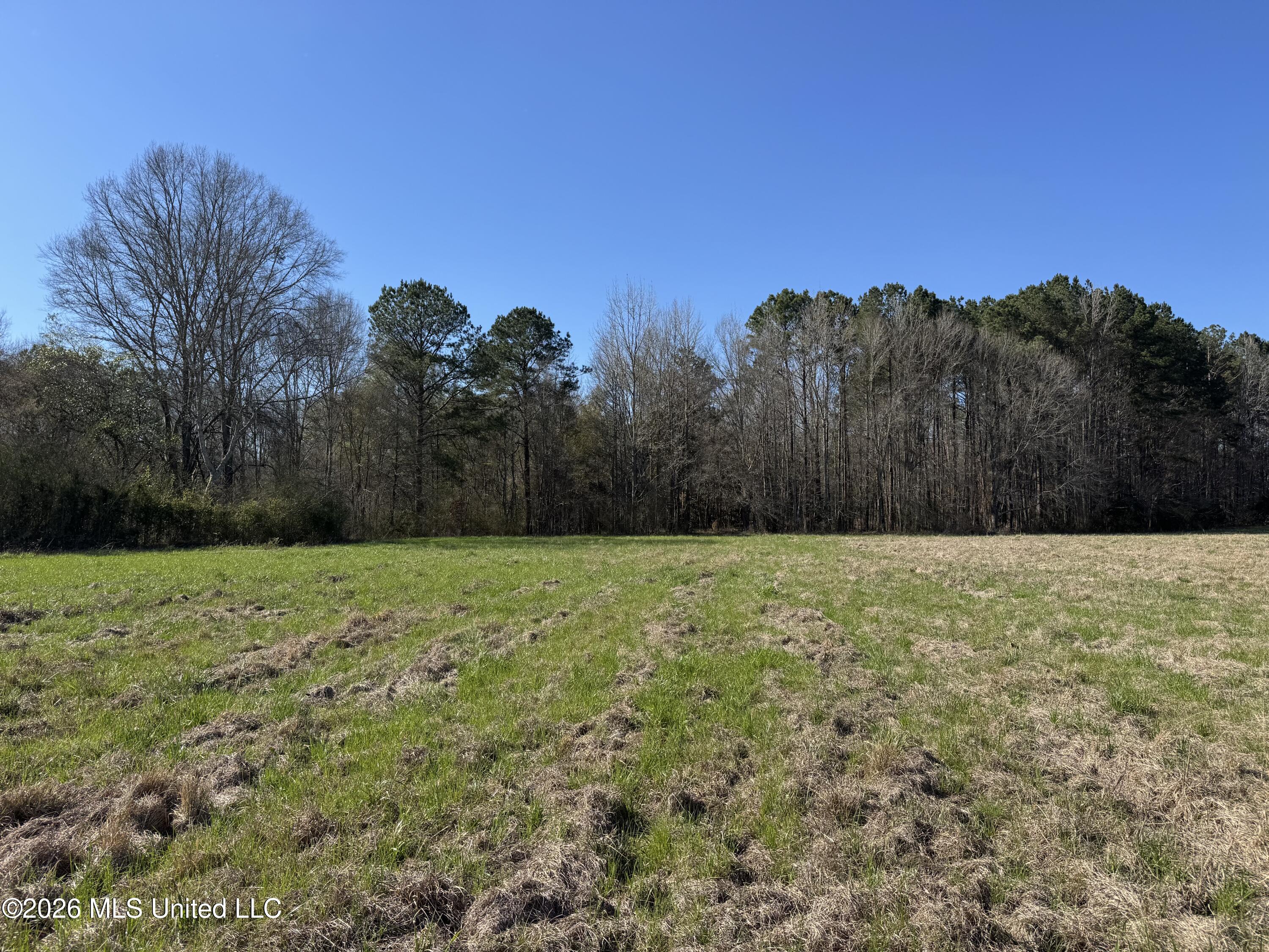 29 Sontag-nola Road Property Photo 20