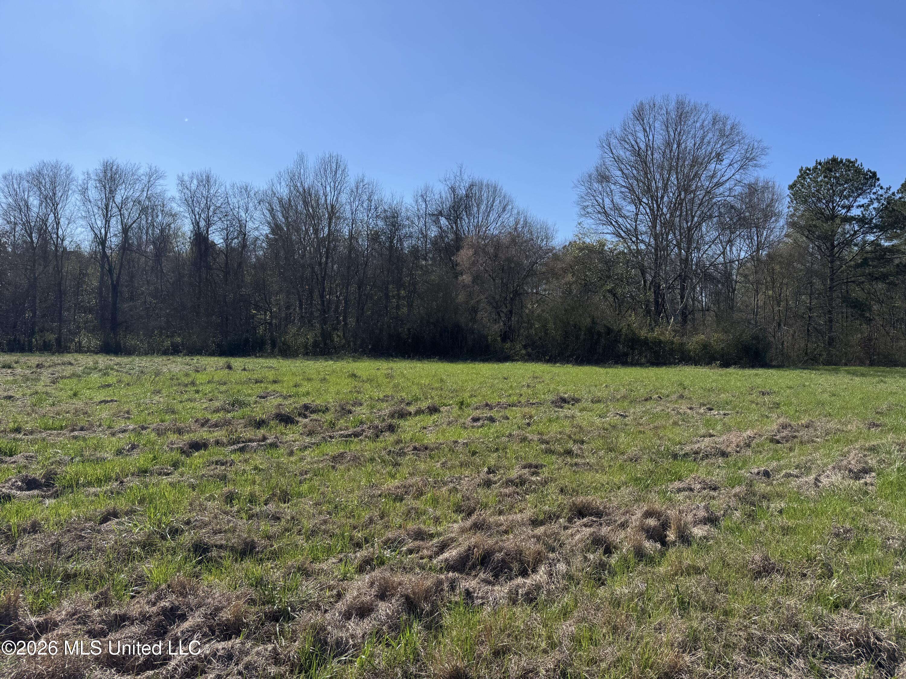 29 Sontag-nola Road Property Photo 21
