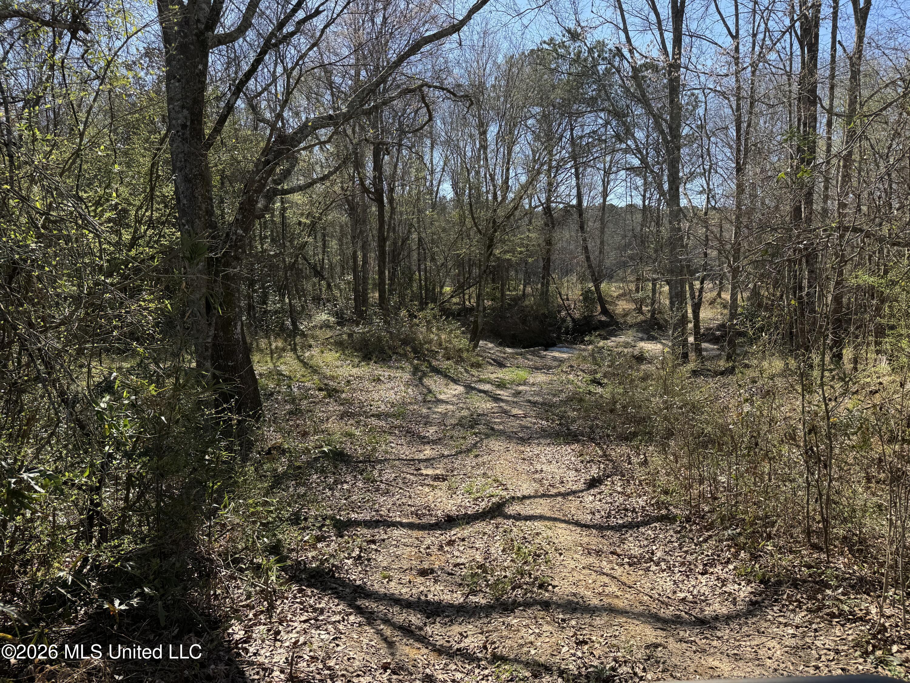 29 Sontag-nola Road Property Photo 22