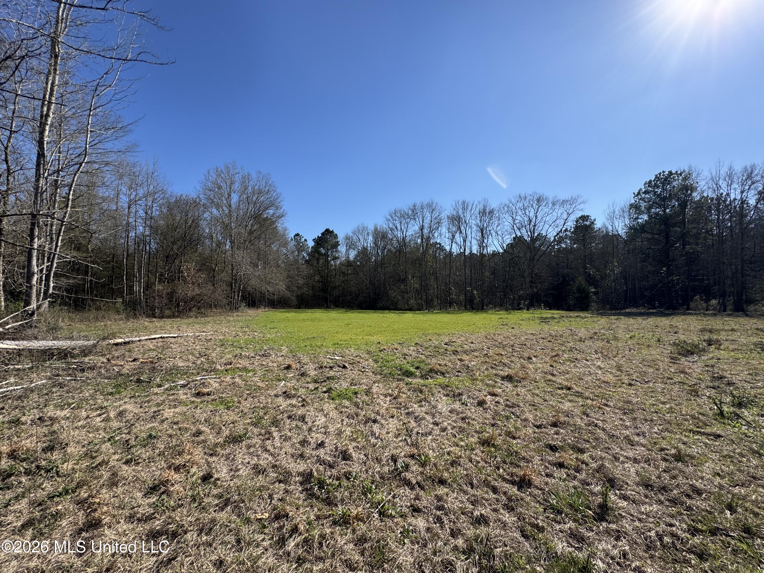 29 Sontag-nola Road Property Photo 26