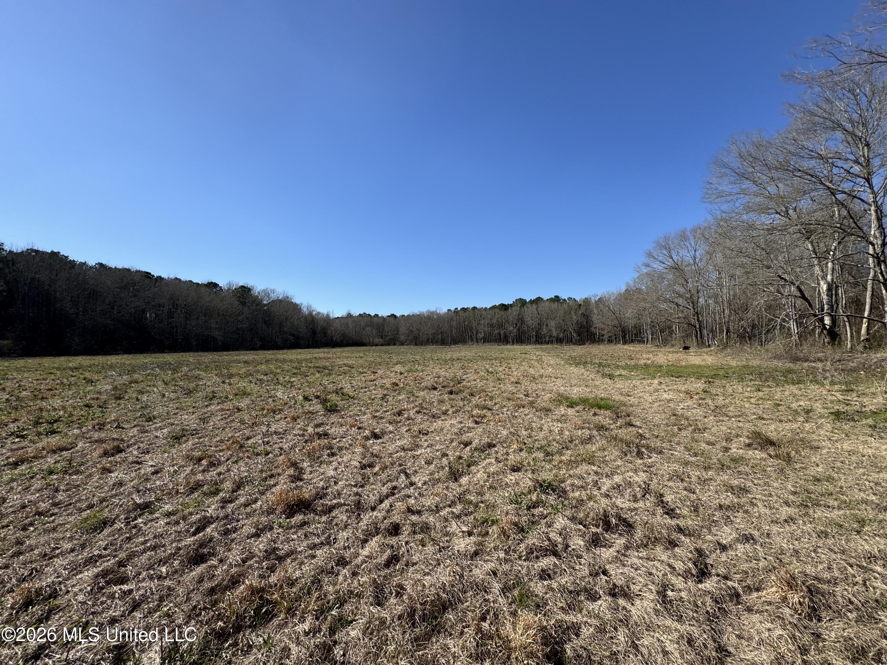 29 Sontag-nola Road Property Photo 27
