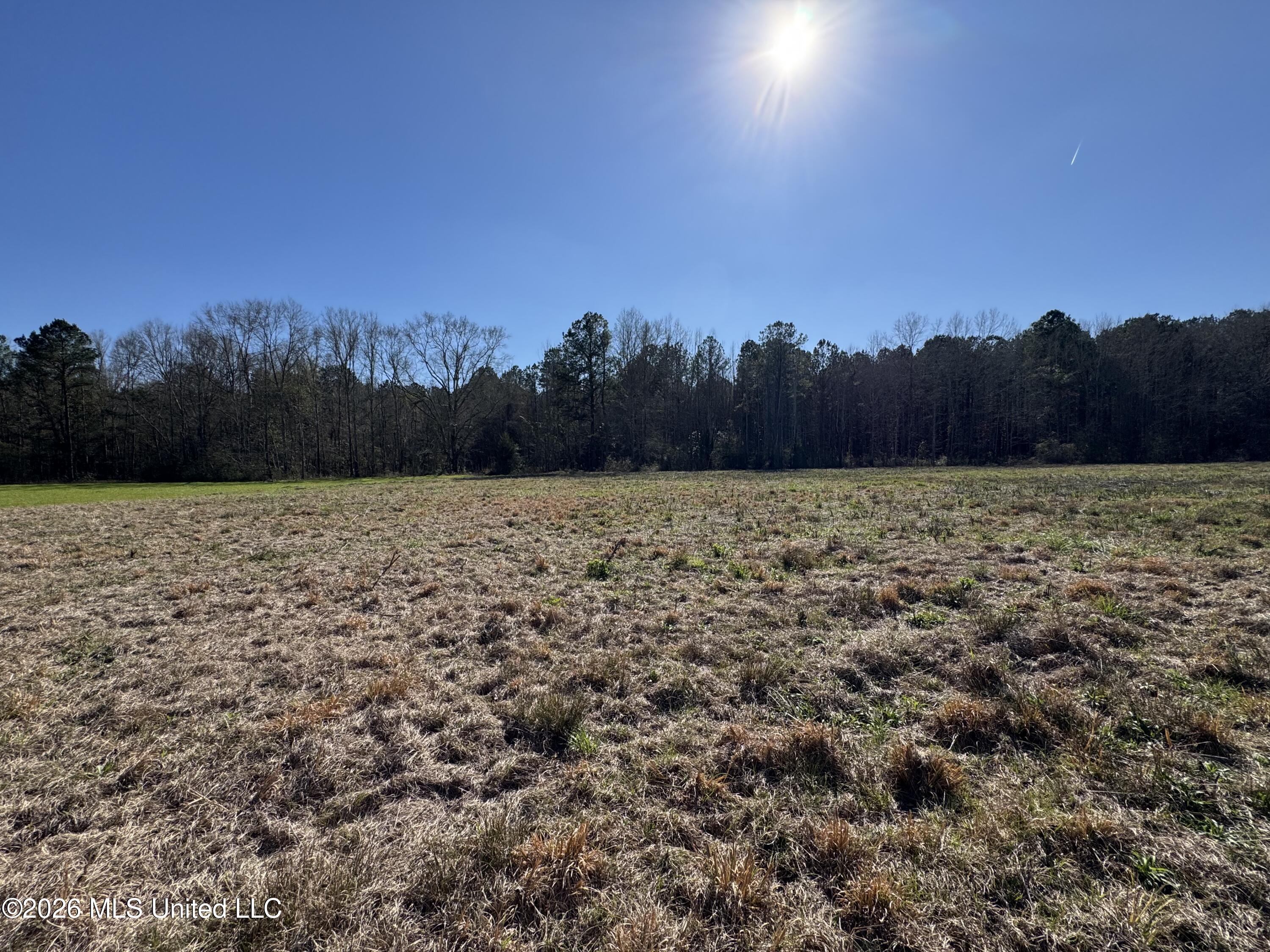 29 Sontag-nola Road Property Photo 28