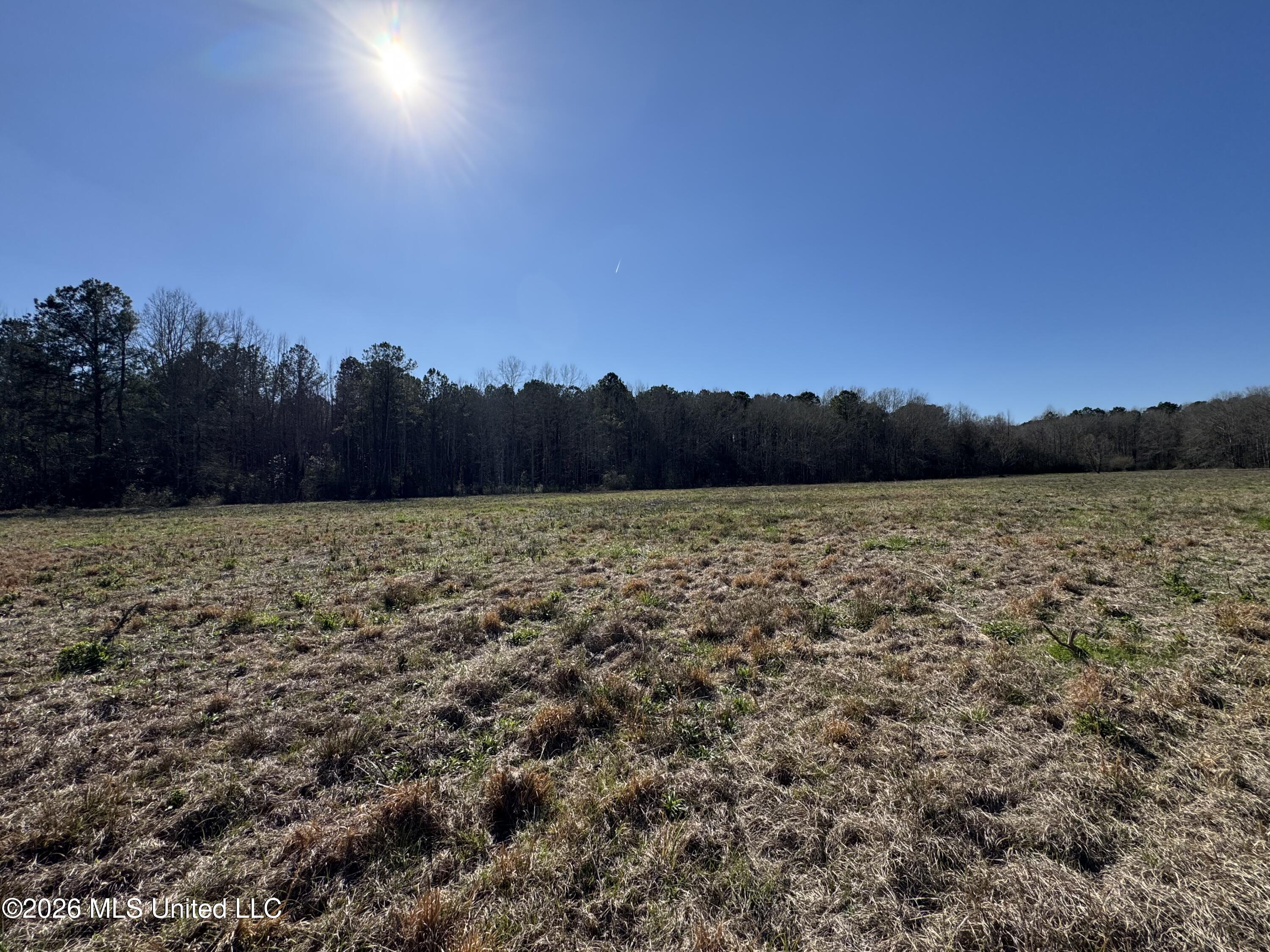29 Sontag-nola Road Property Photo 29