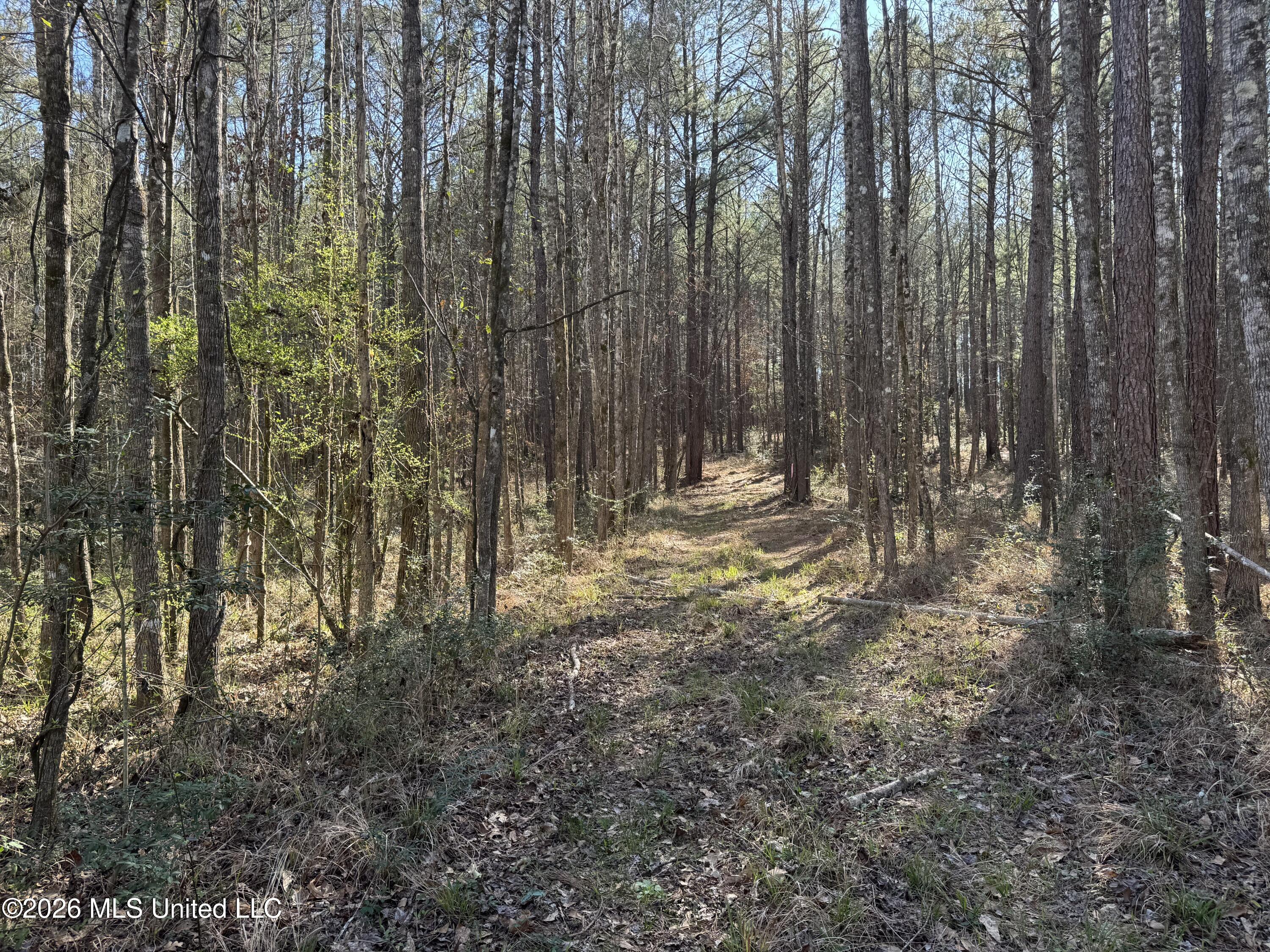 29 Sontag-nola Road Property Photo 32