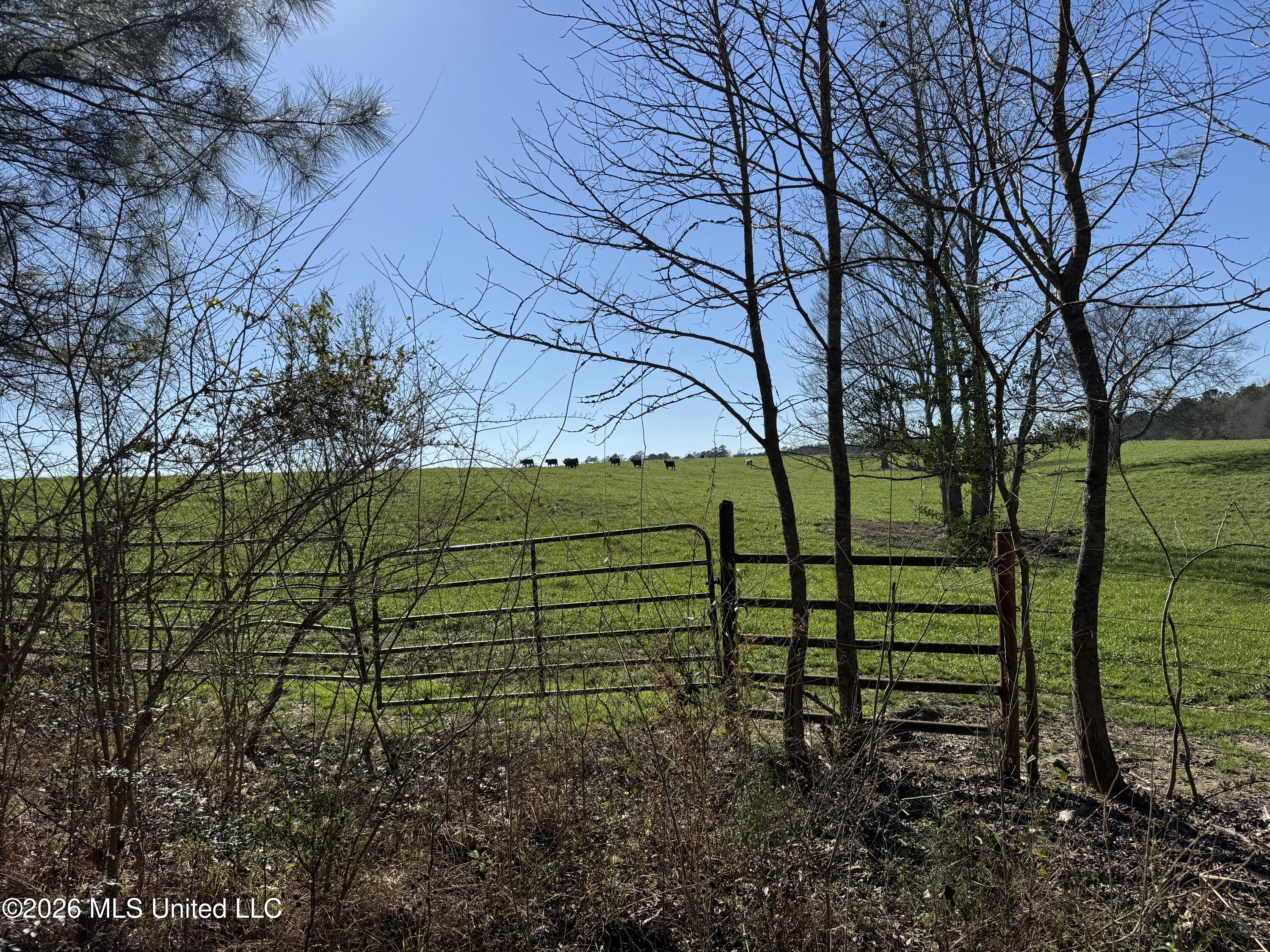 29 Sontag-nola Road Property Photo 37