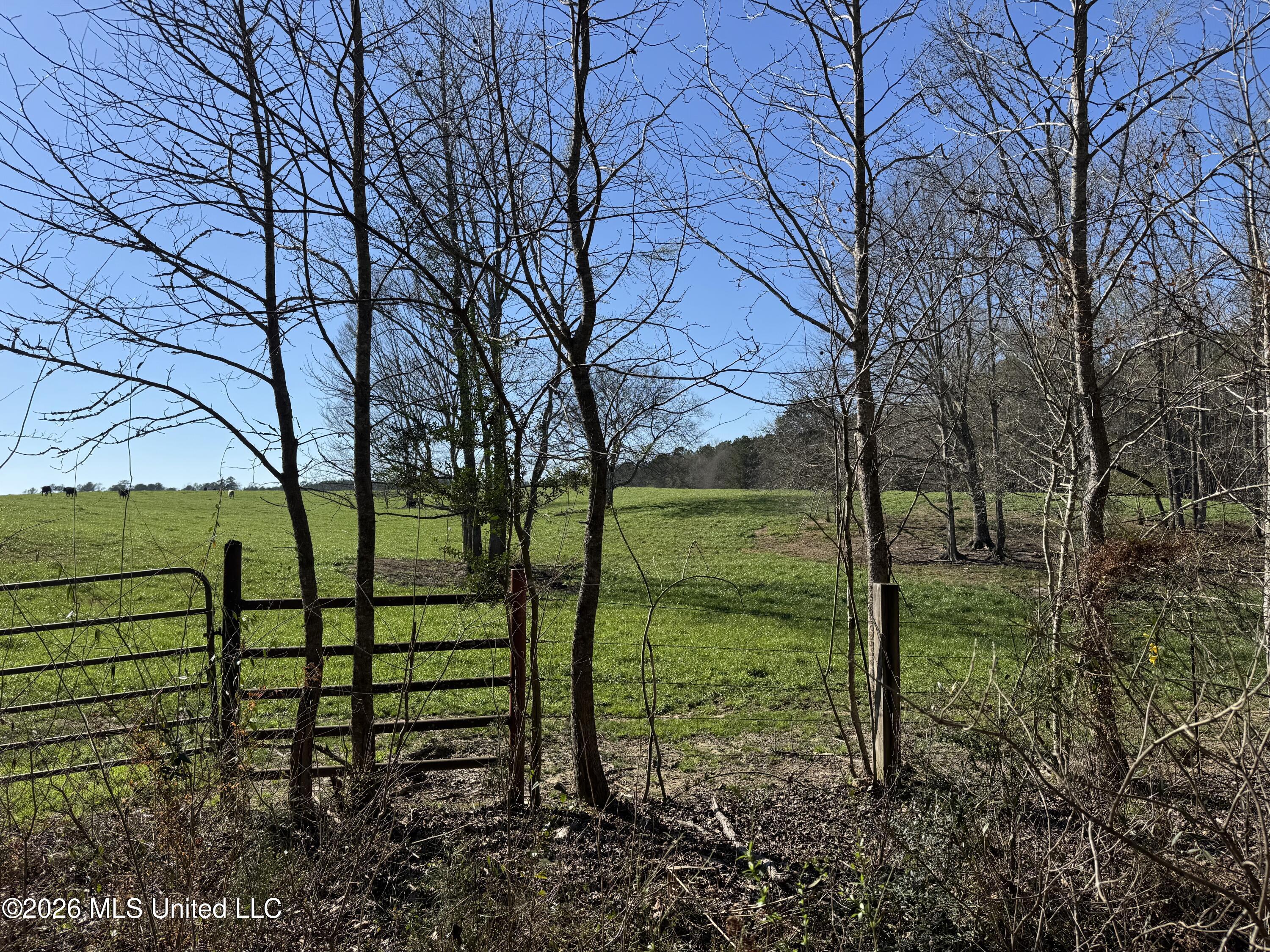 29 Sontag-nola Road Property Photo 38