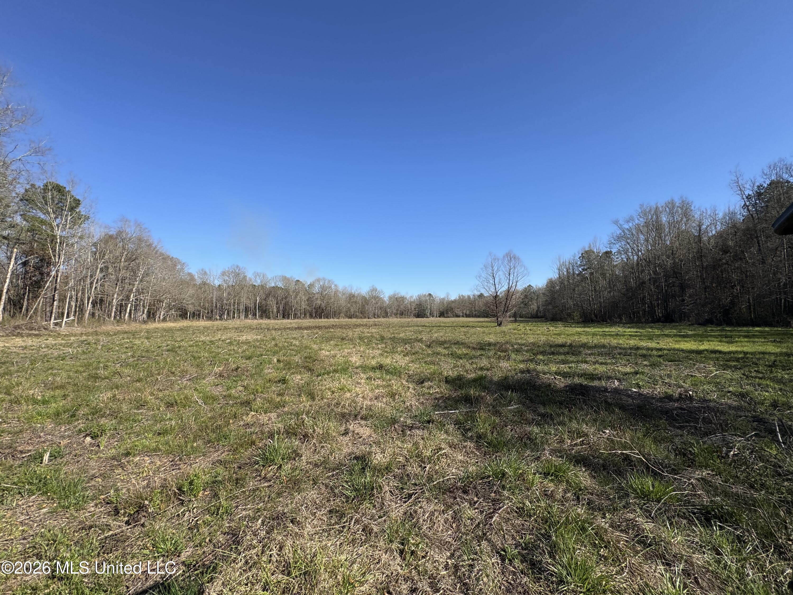 29 Sontag-nola Road Property Photo 41