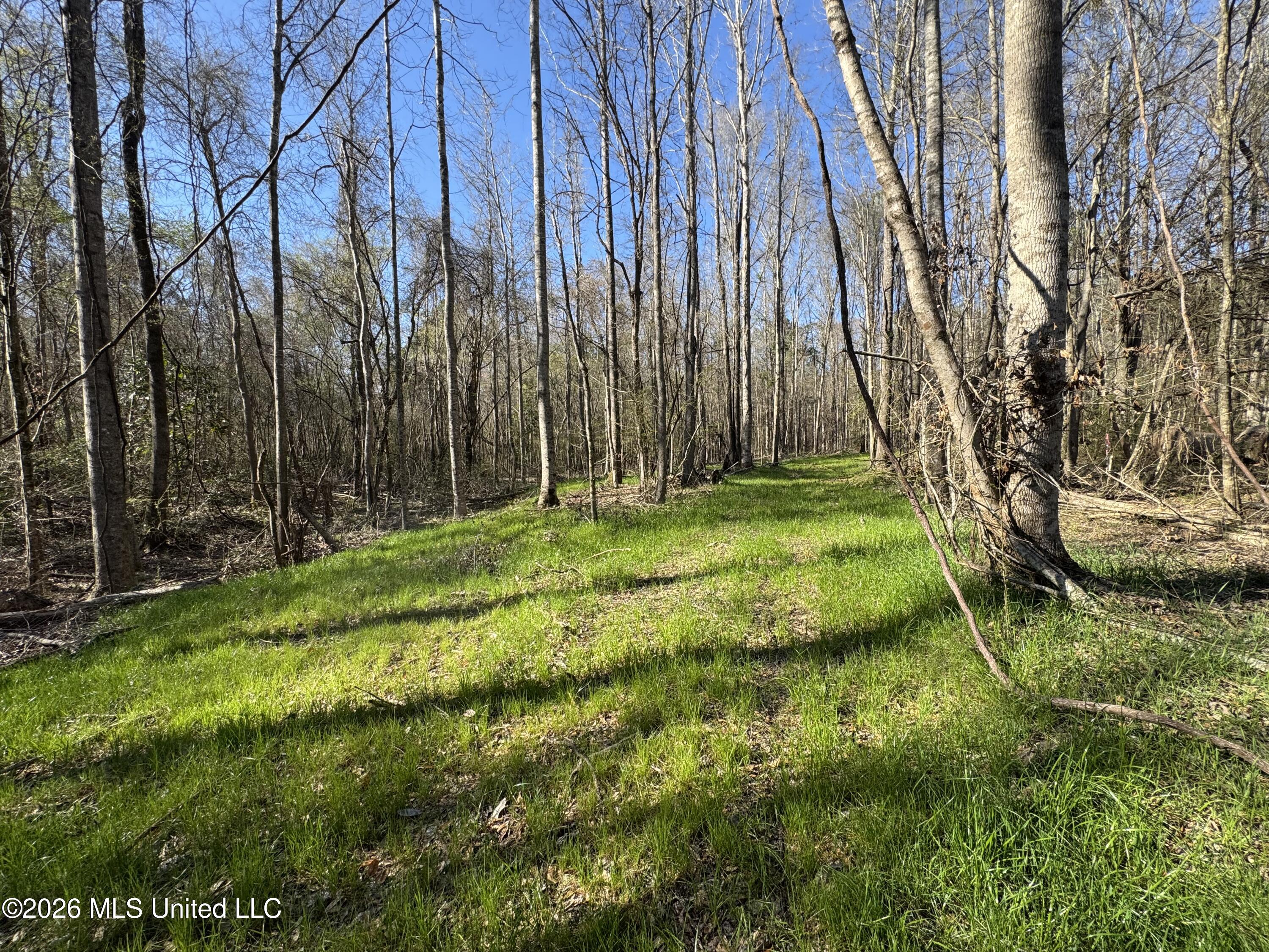 29 Sontag-nola Road Property Photo 46