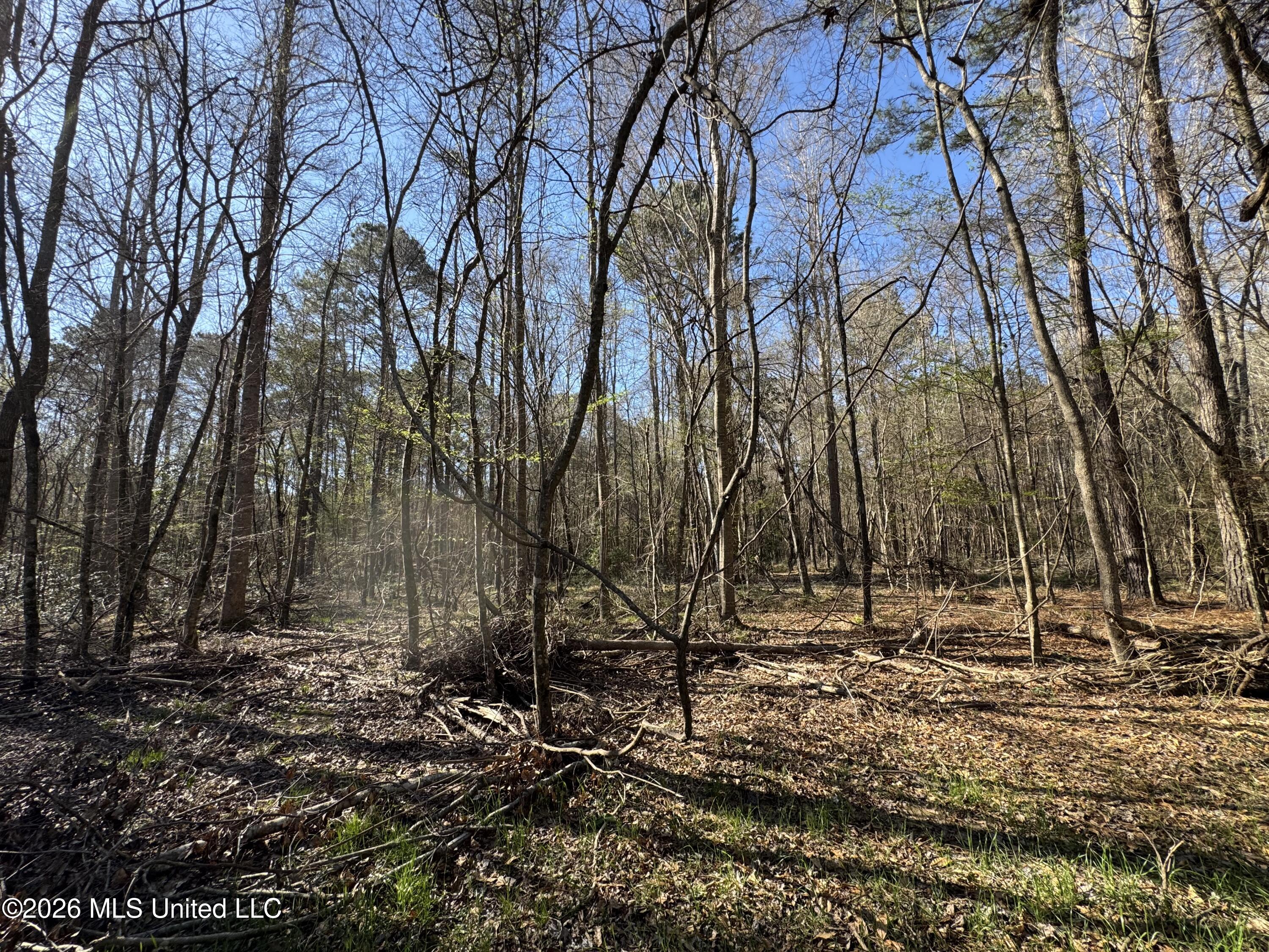 29 Sontag-nola Road Property Photo 47