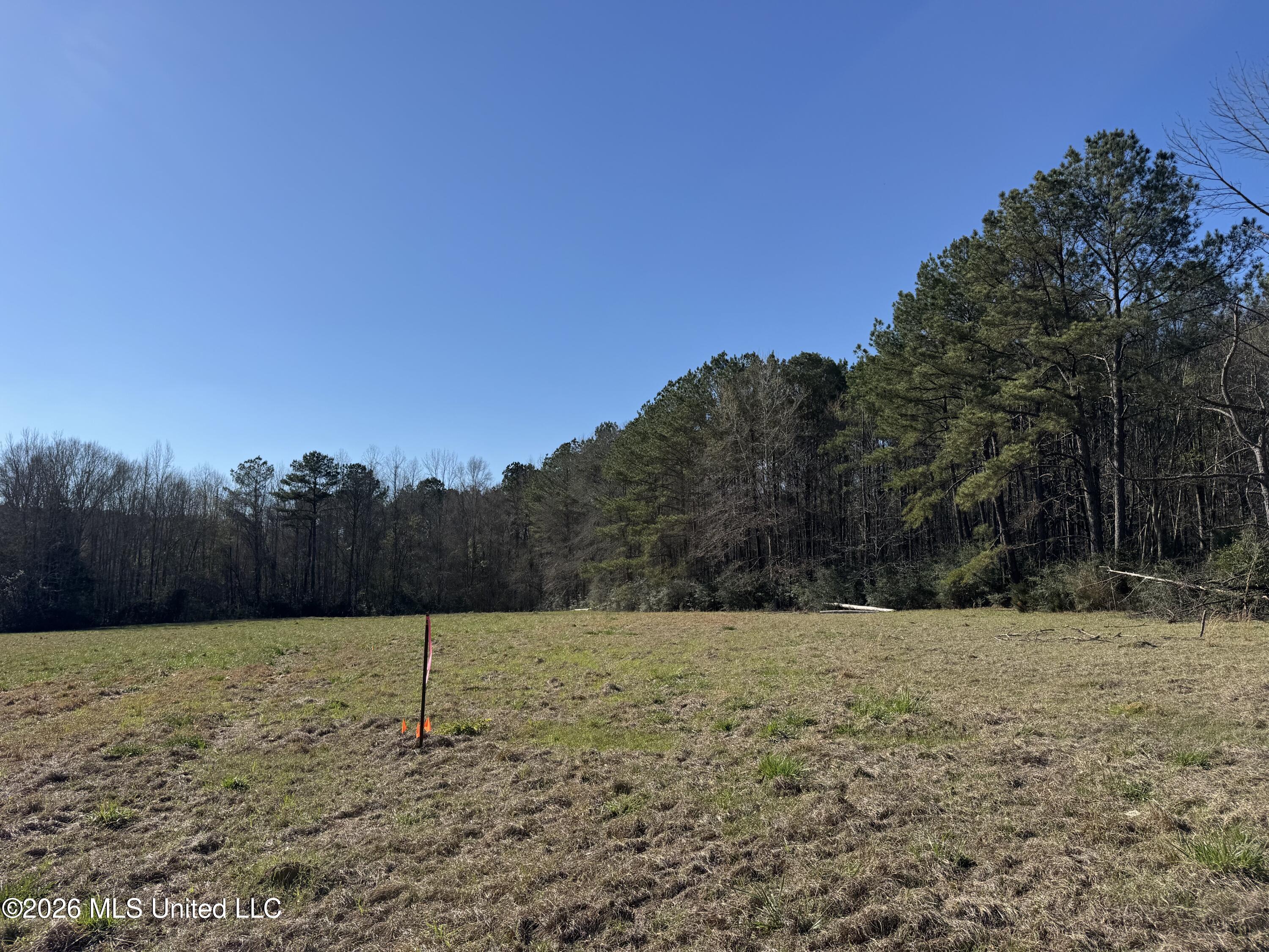 29 Sontag-nola Road Property Photo 48