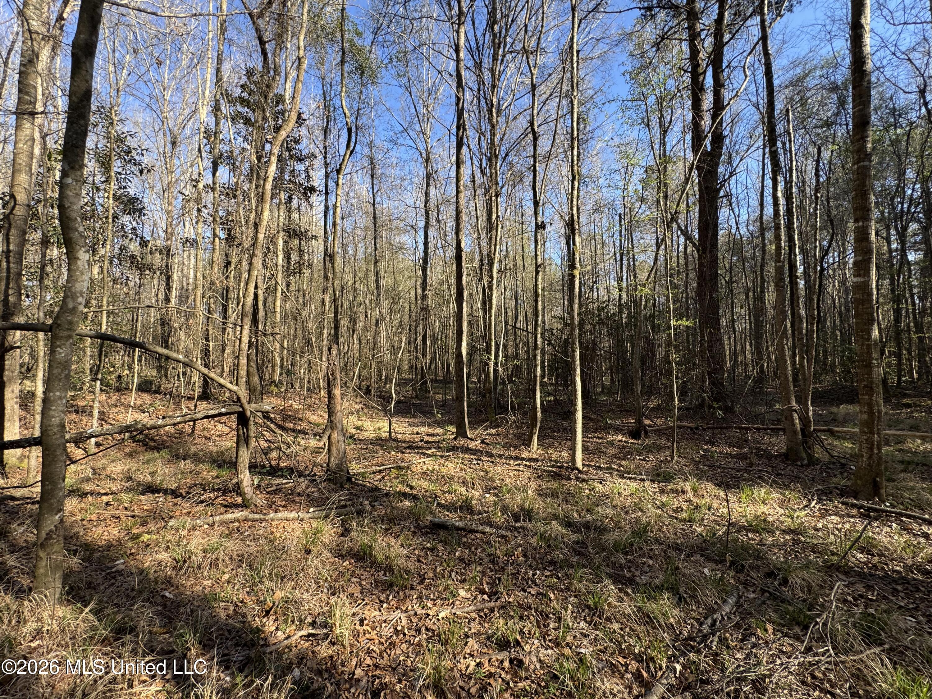 29 Sontag-nola Road Property Photo 60
