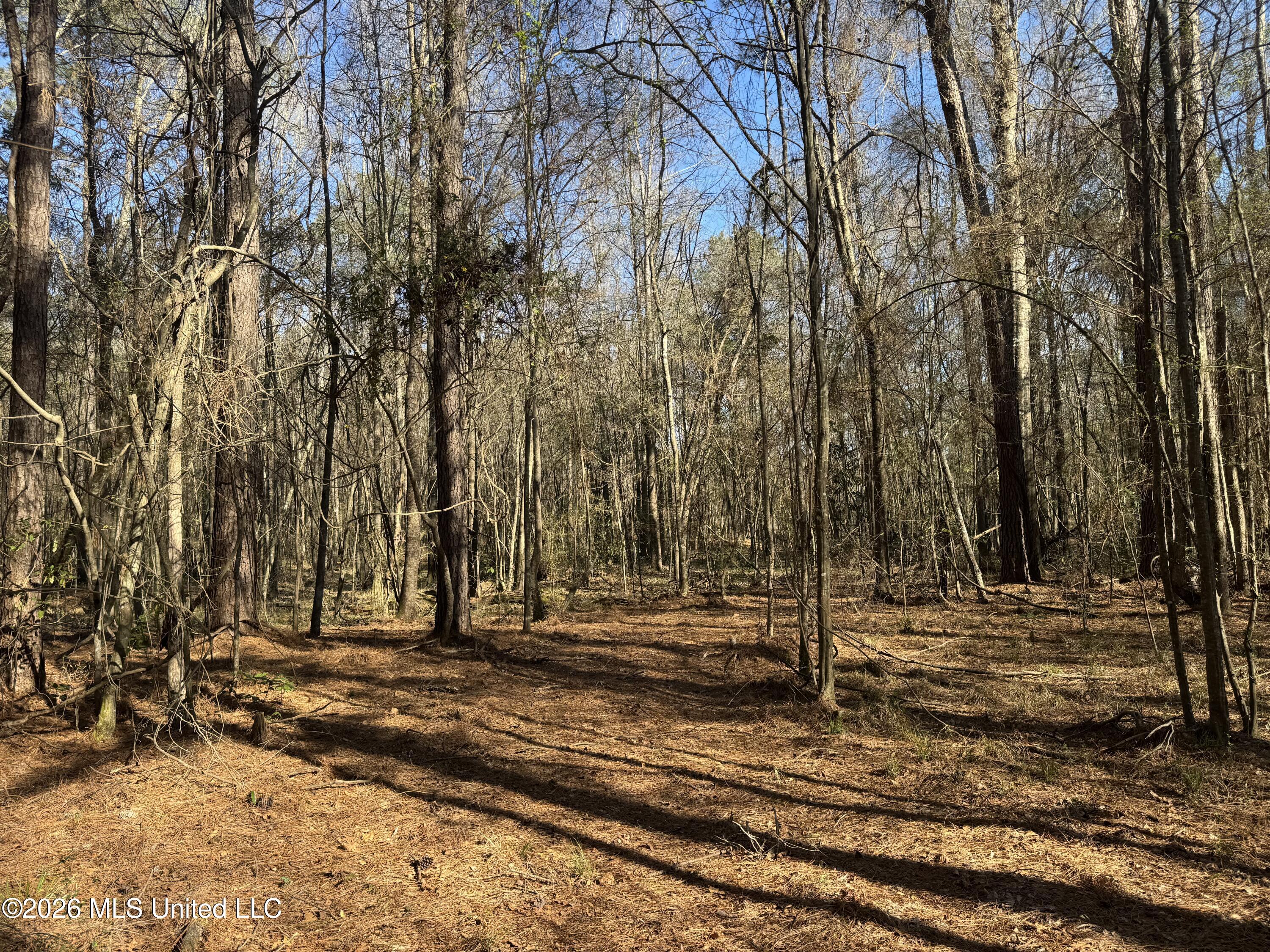29 Sontag-nola Road Property Photo 63