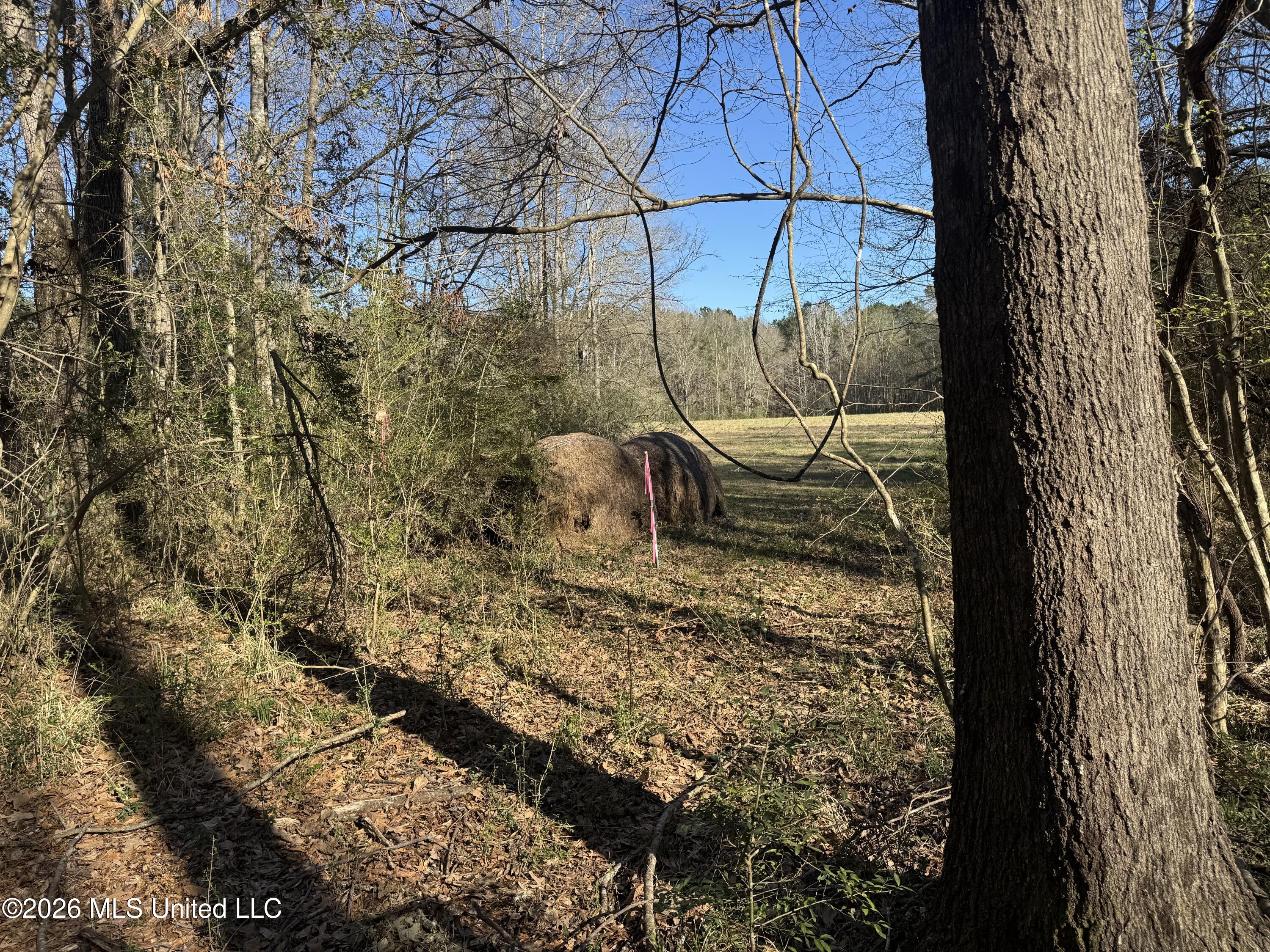 29 Sontag-nola Road Property Photo 66