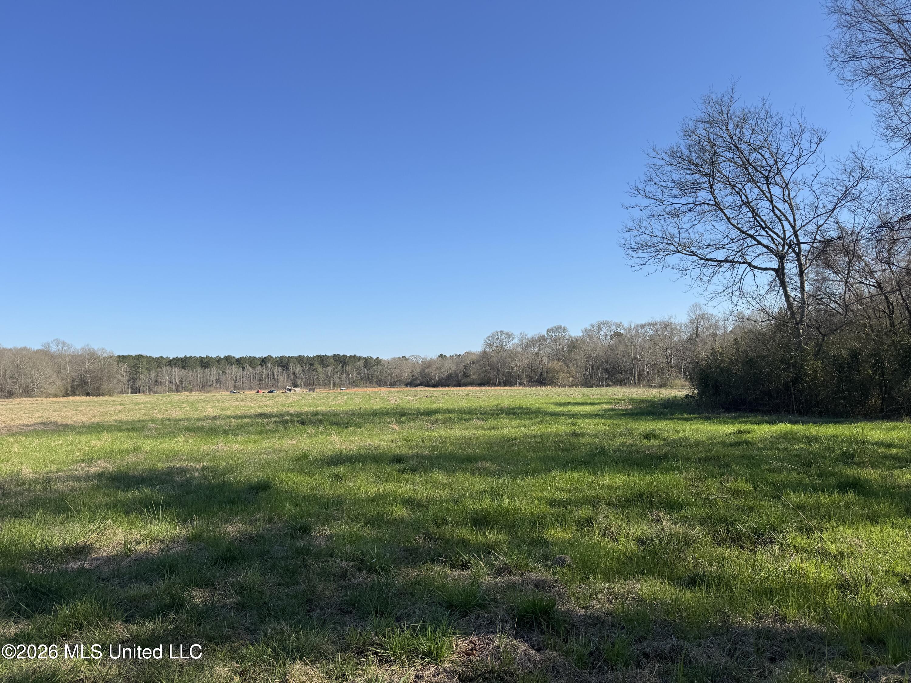 29 Sontag-nola Road Property Photo 70