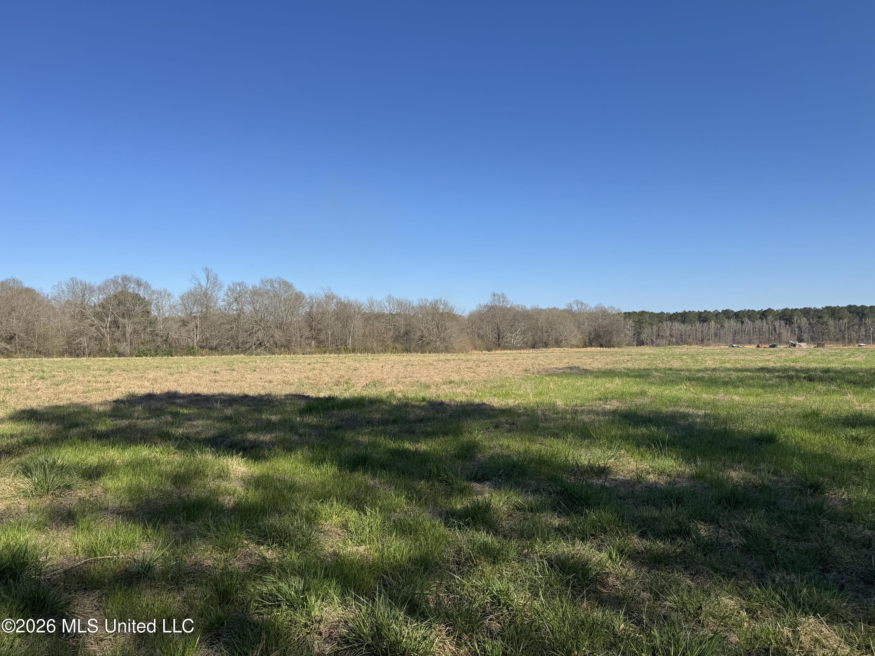29 Sontag-nola Road Property Photo 71