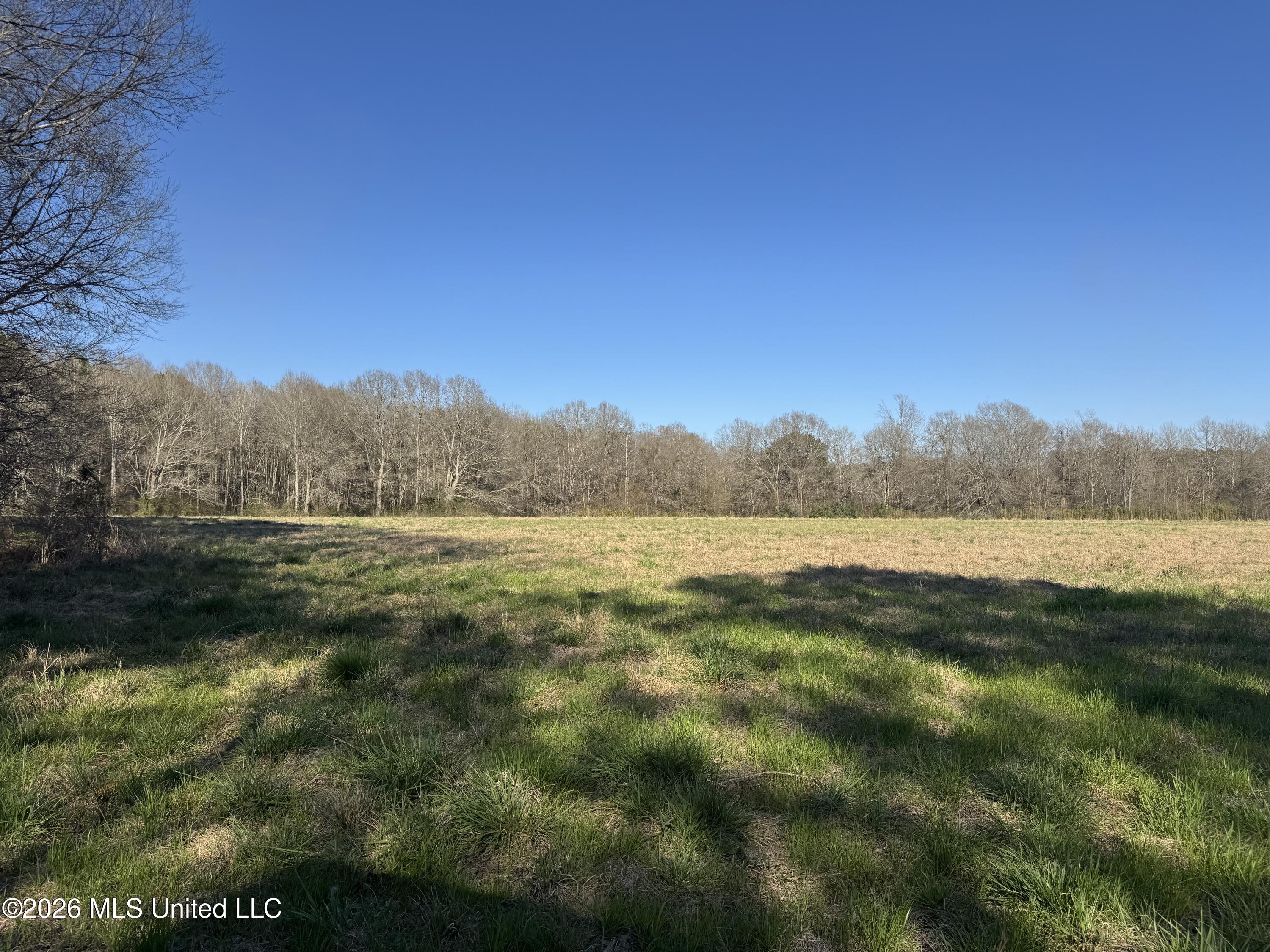 29 Sontag-nola Road Property Photo 72