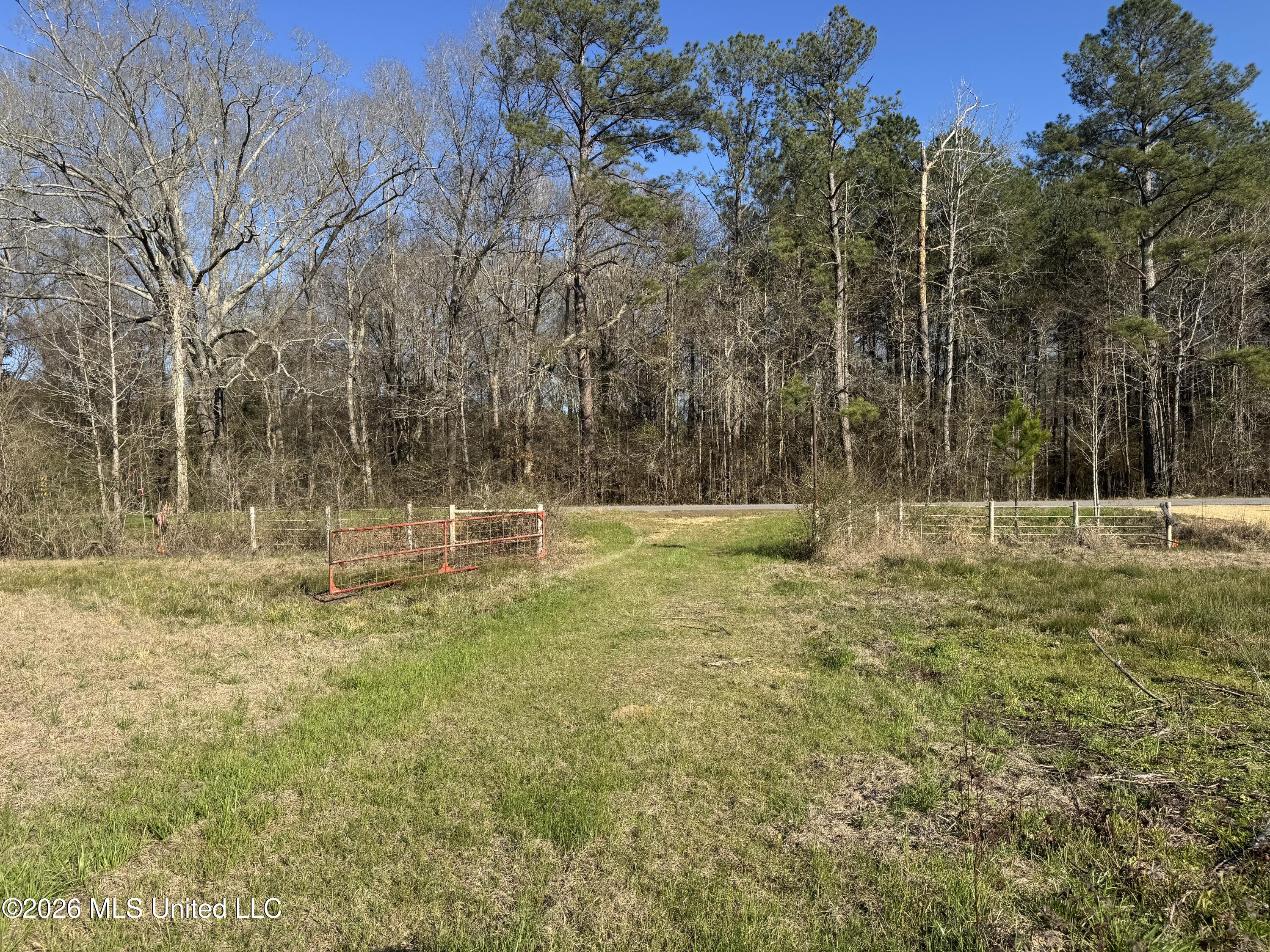 29 Sontag-nola Road Property Photo 74