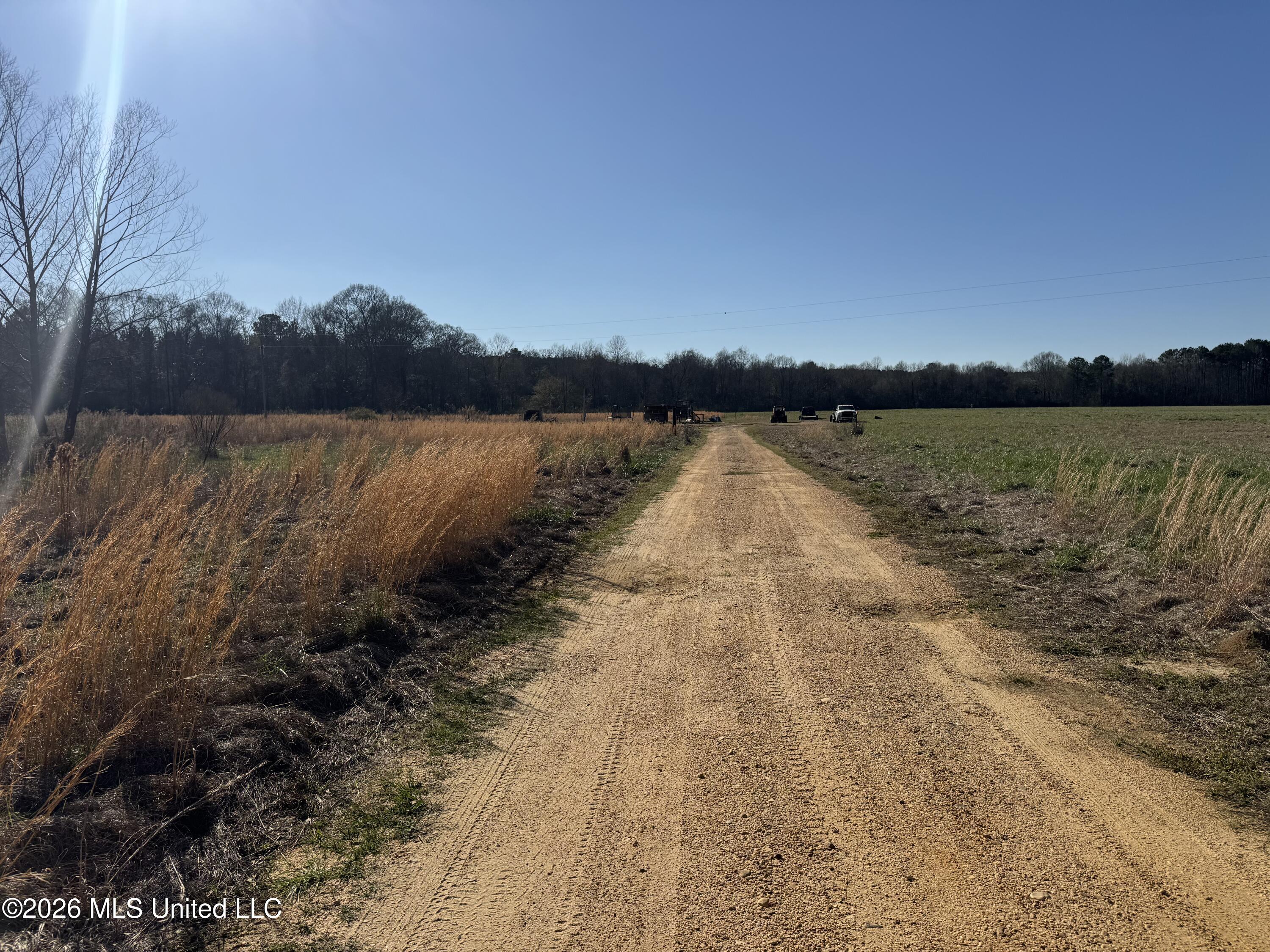 29 Sontag-nola Road Property Photo 76