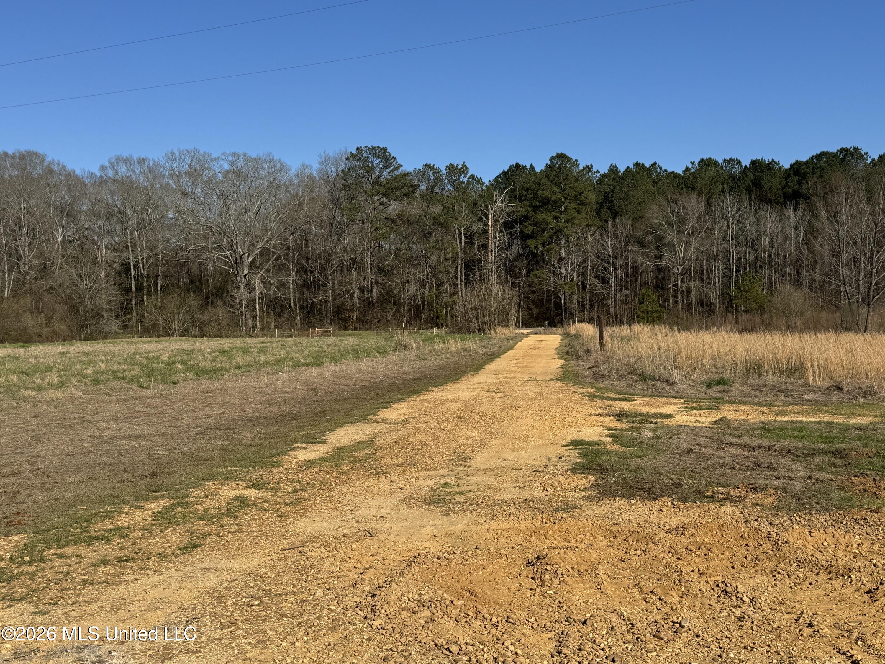 29 Sontag-nola Road Property Photo 79
