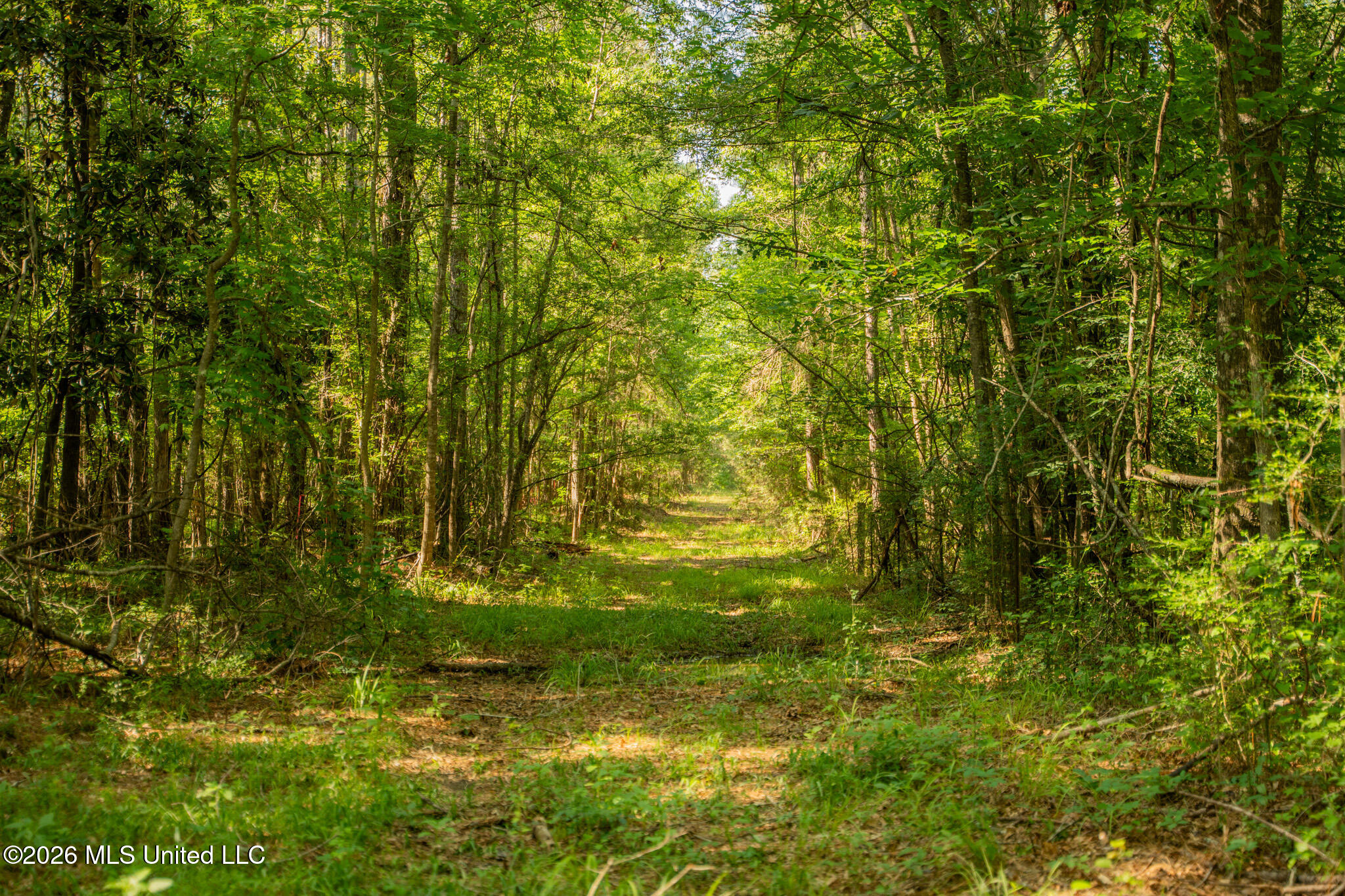 29 Sontag-nola Road Property Photo 102