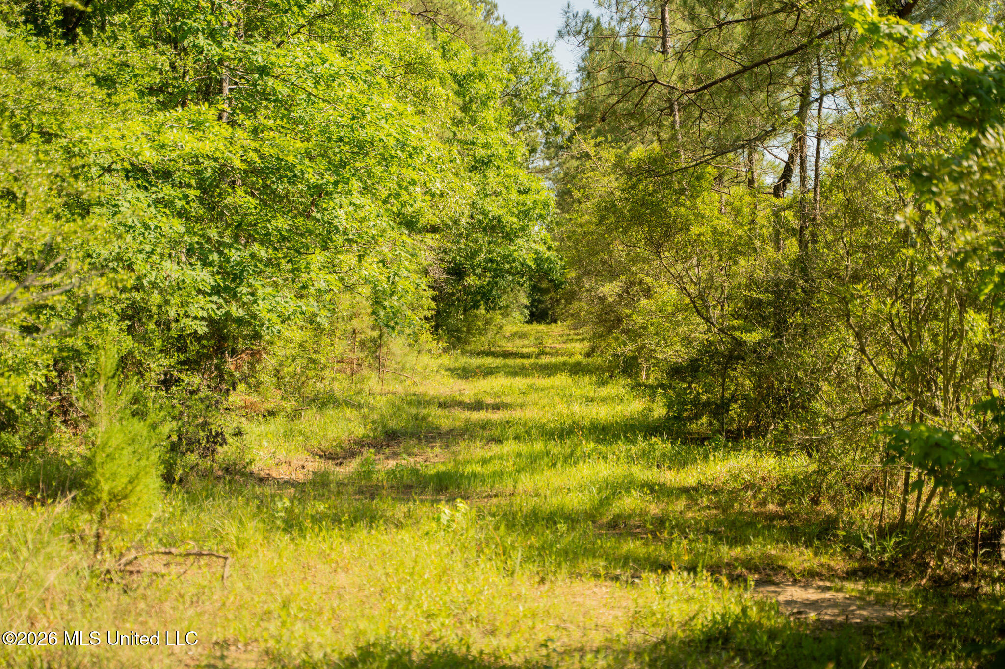 29 Sontag-nola Road Property Photo 103