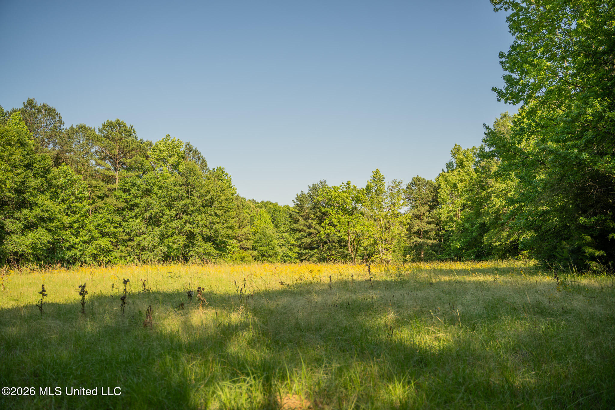 29 Sontag-nola Road Property Photo 105