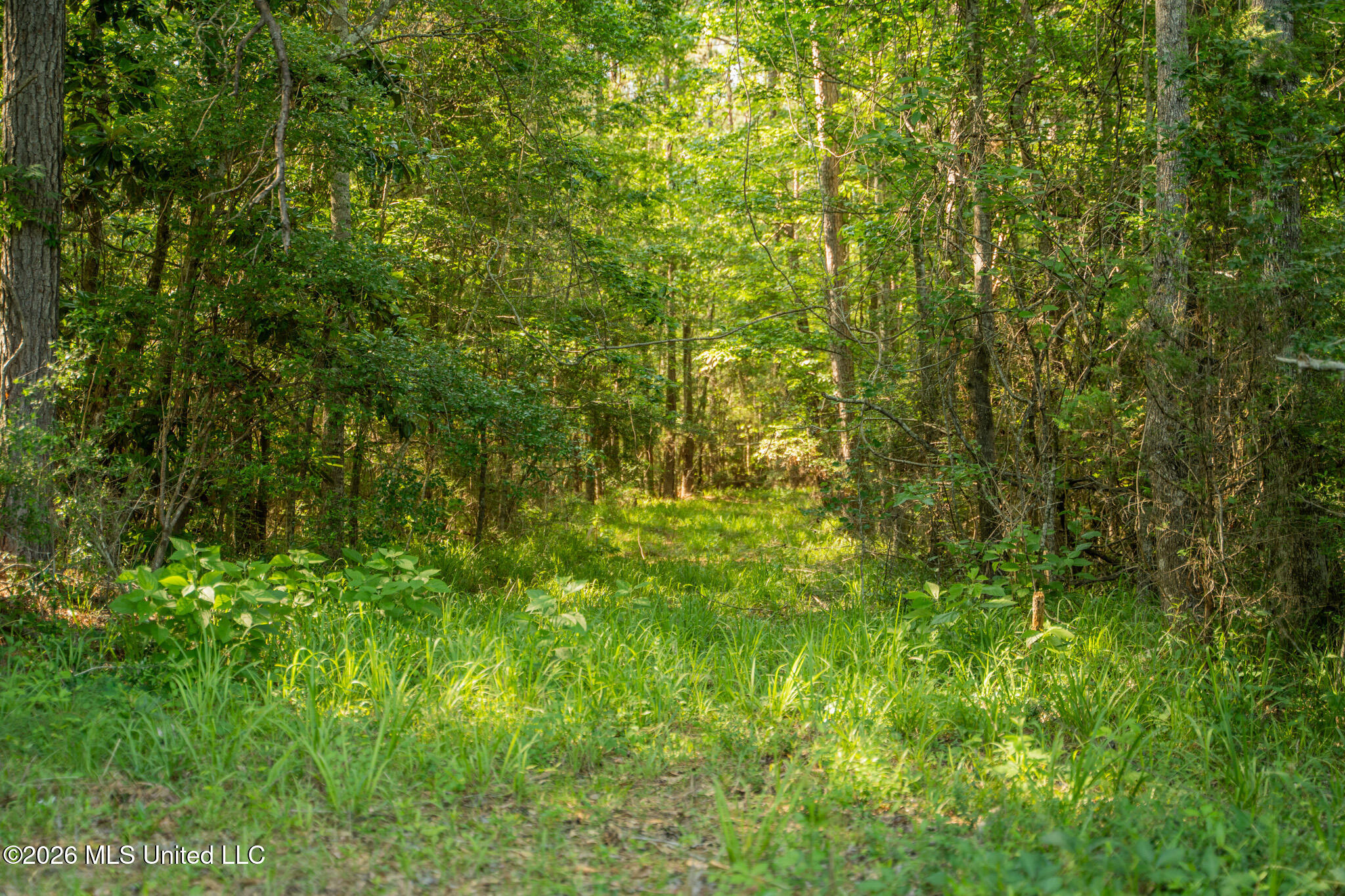 29 Sontag-nola Road Property Photo 106