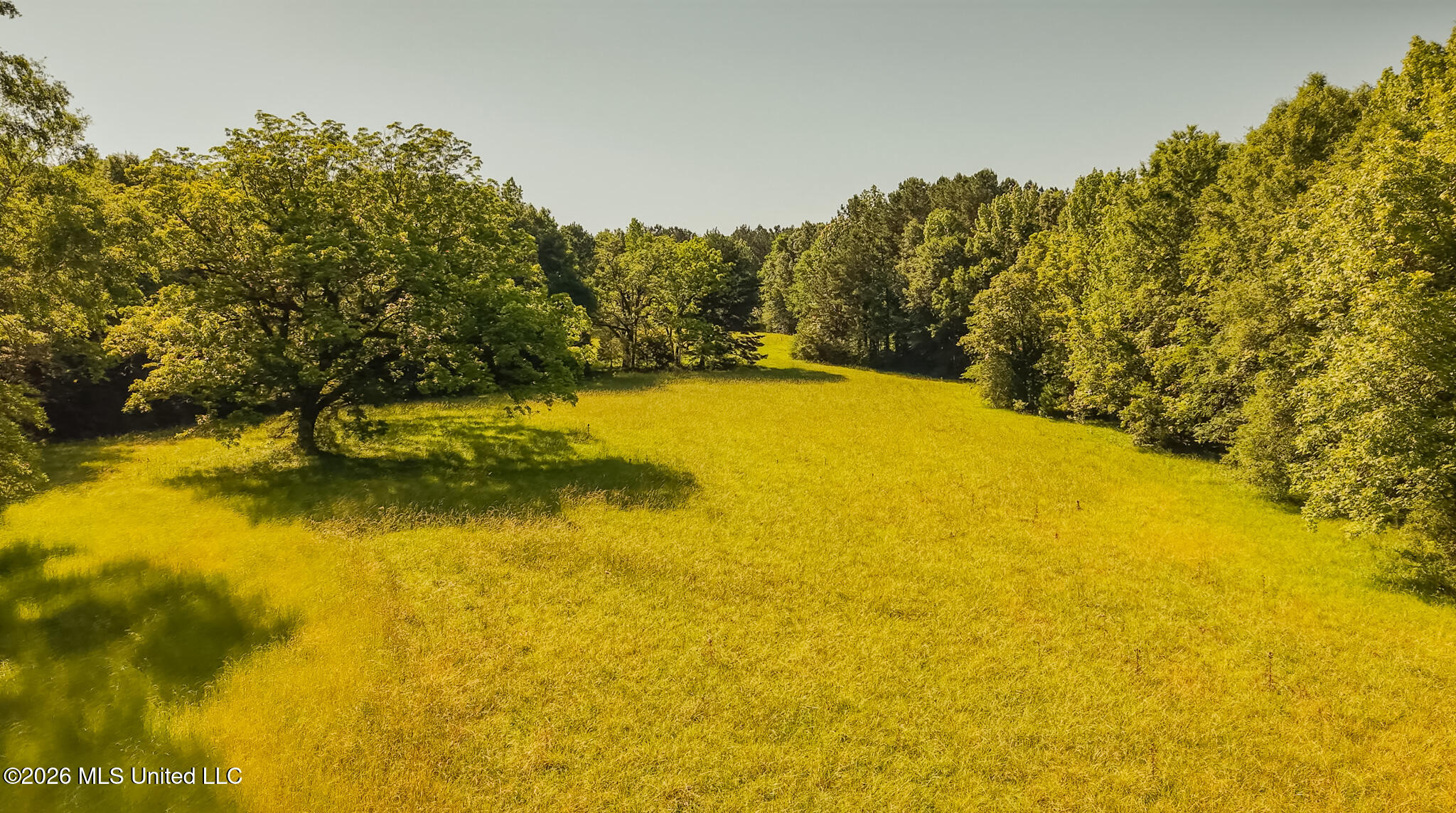 29 Sontag-nola Road Property Photo 123