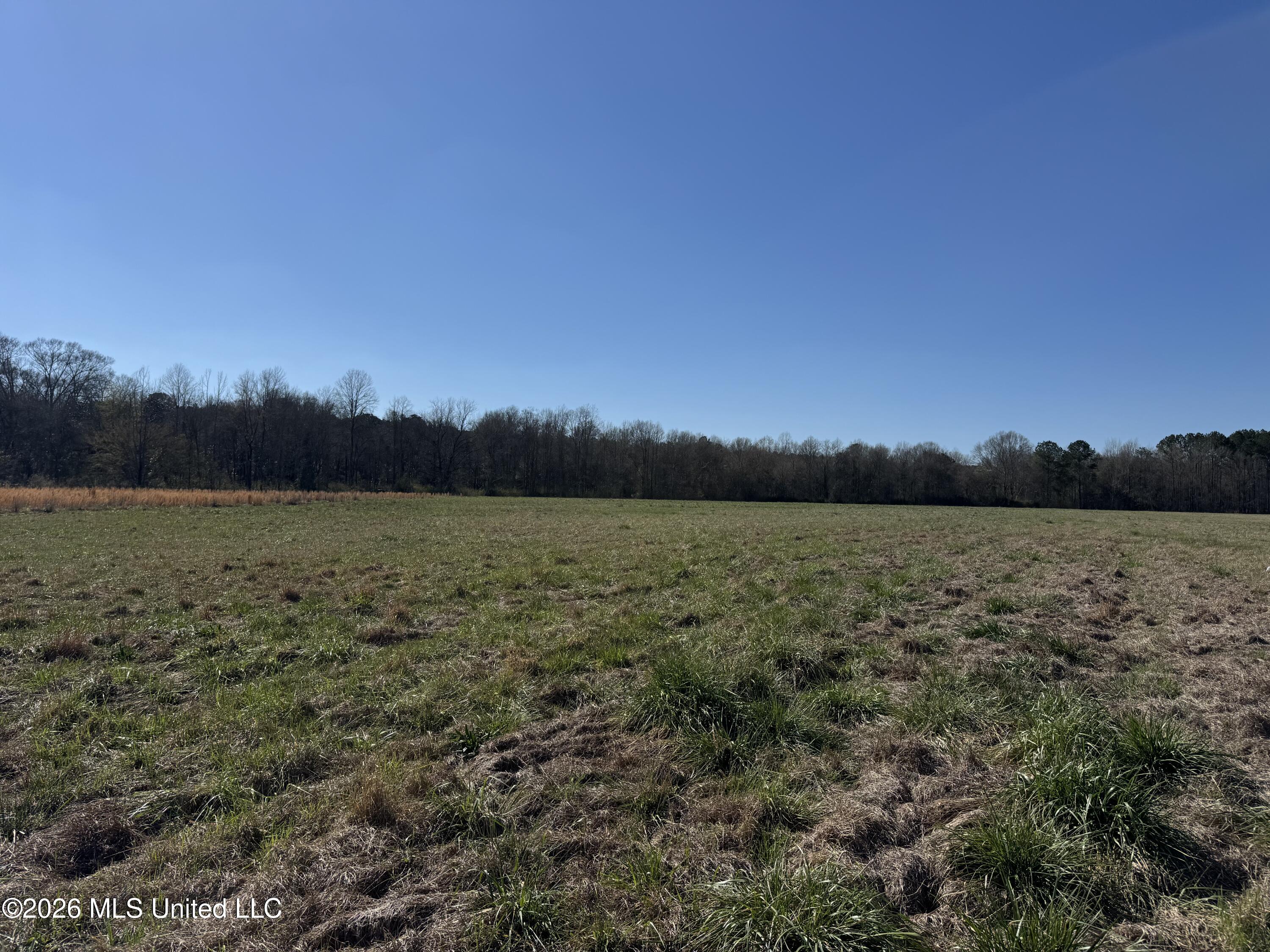 29 Sontag-nola Road Property Photo 126