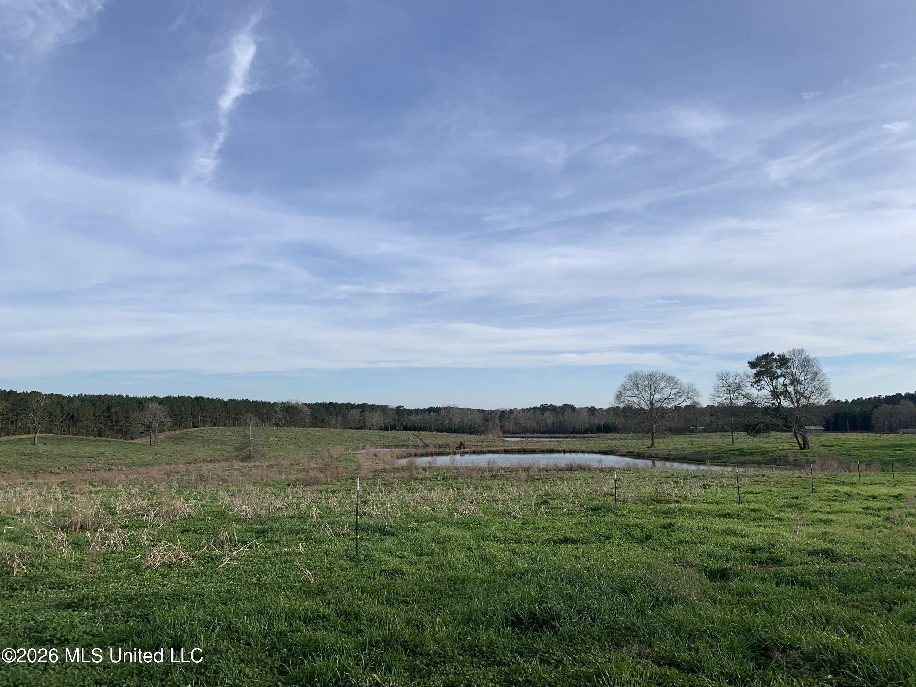 79 Adron Boyd Road Property Photo 1