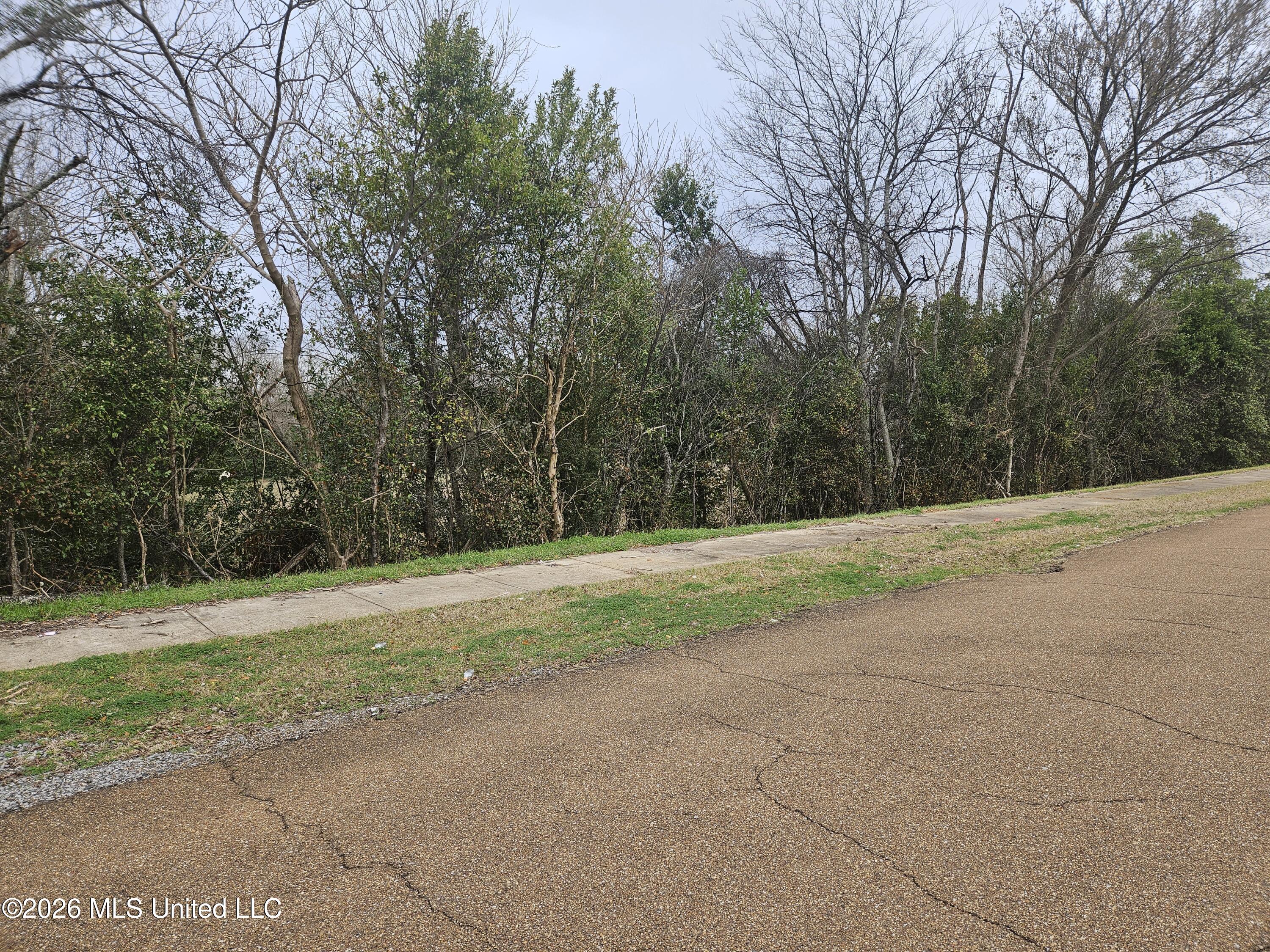 309 Bob D Williams Lane Property Photo 1