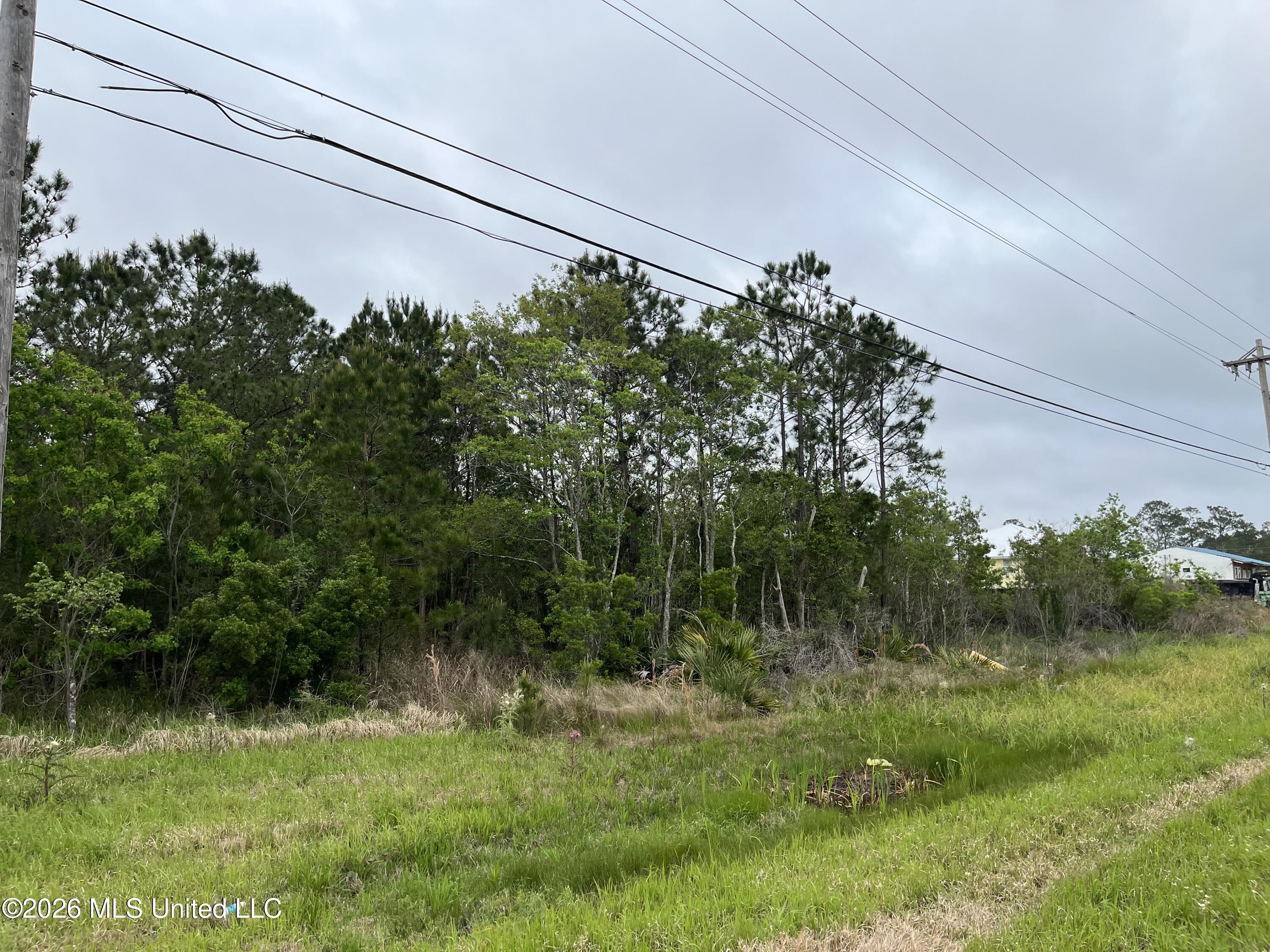 Lot 4 N Highway 603 Property Photo 3