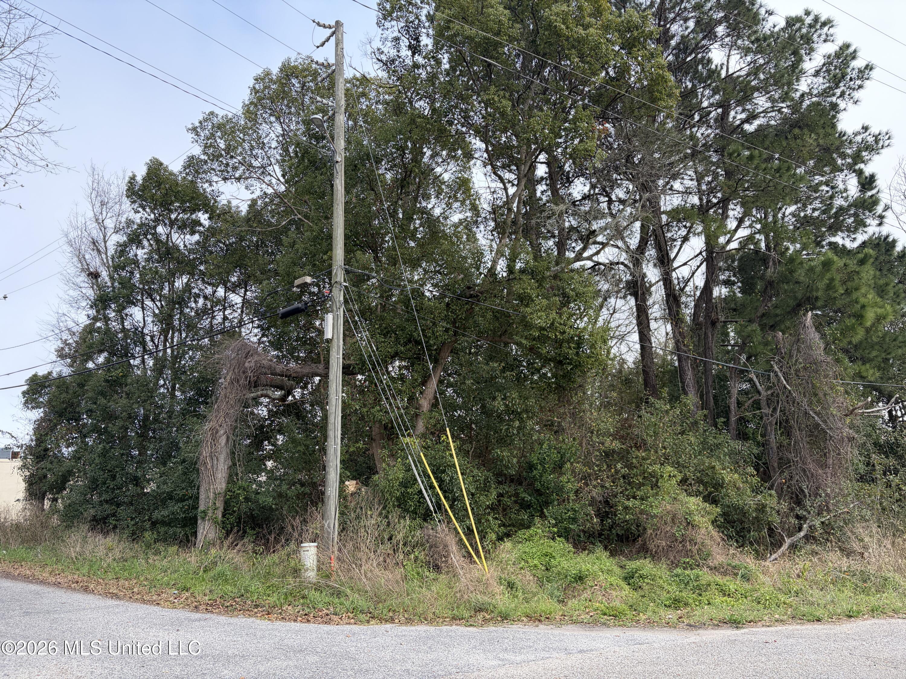205 2nd Avenue Property Photo 1