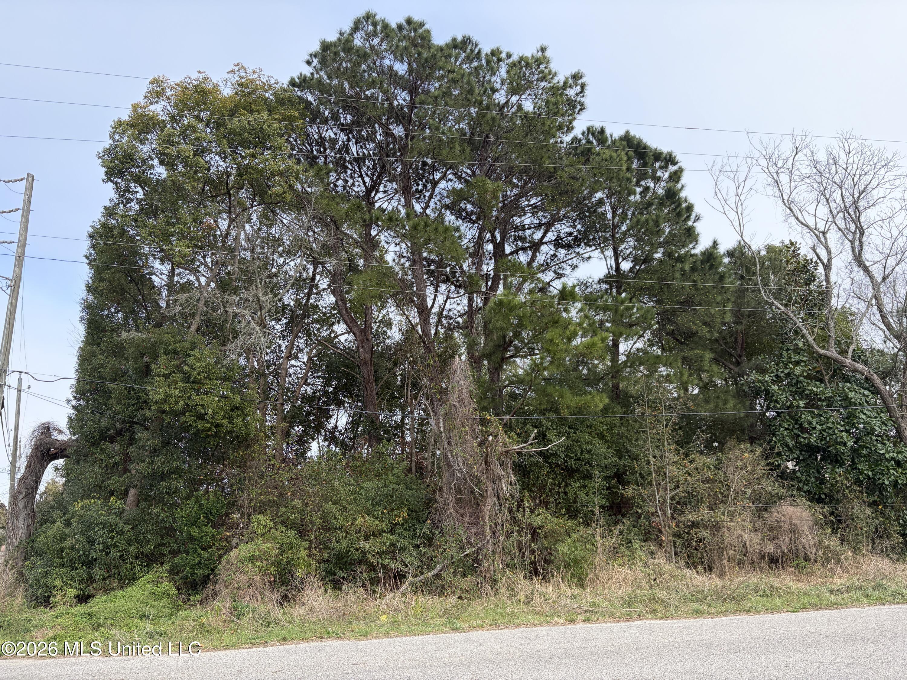 205 2nd Avenue Property Photo 2