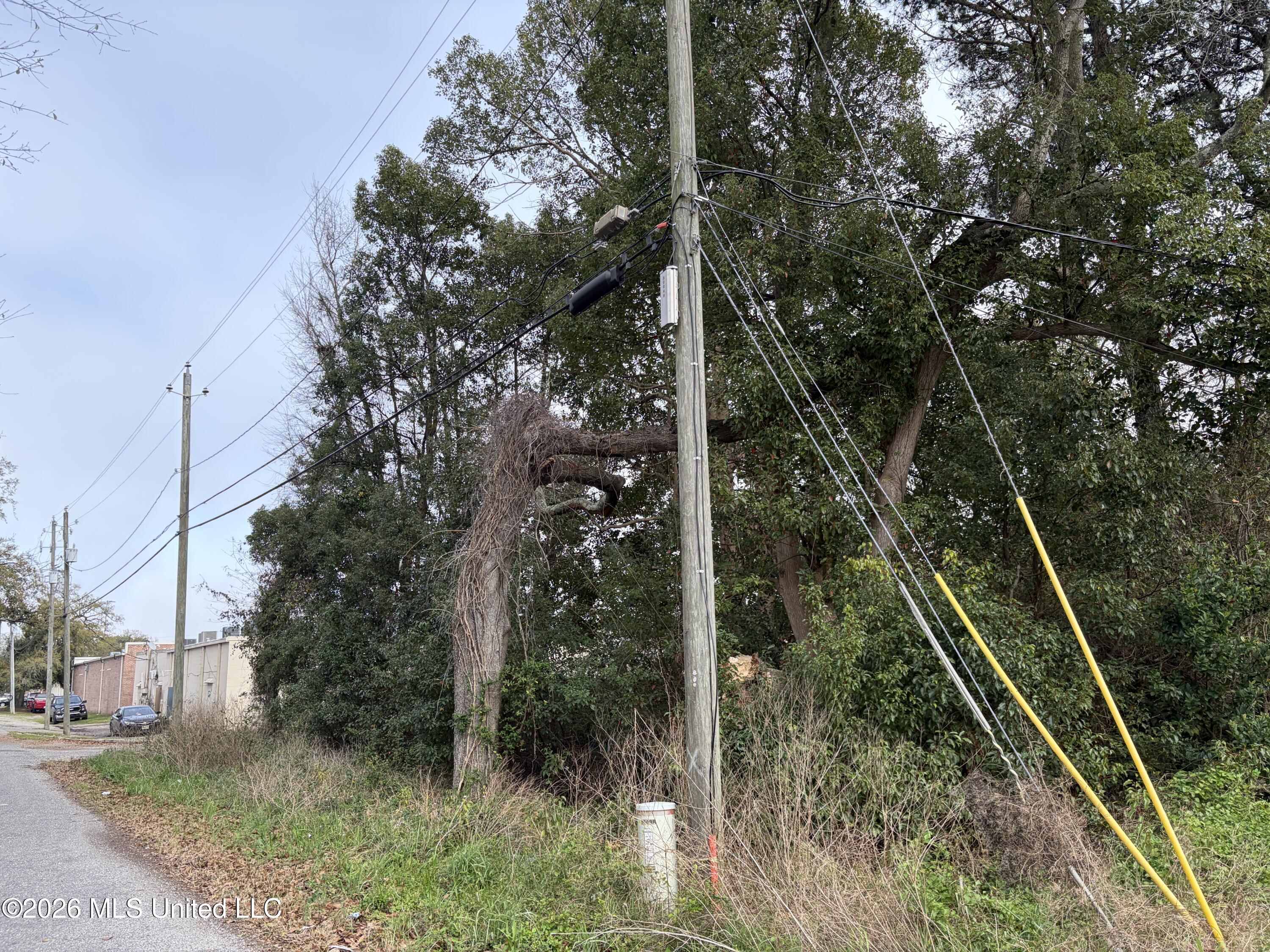 205 2nd Avenue Property Photo 4