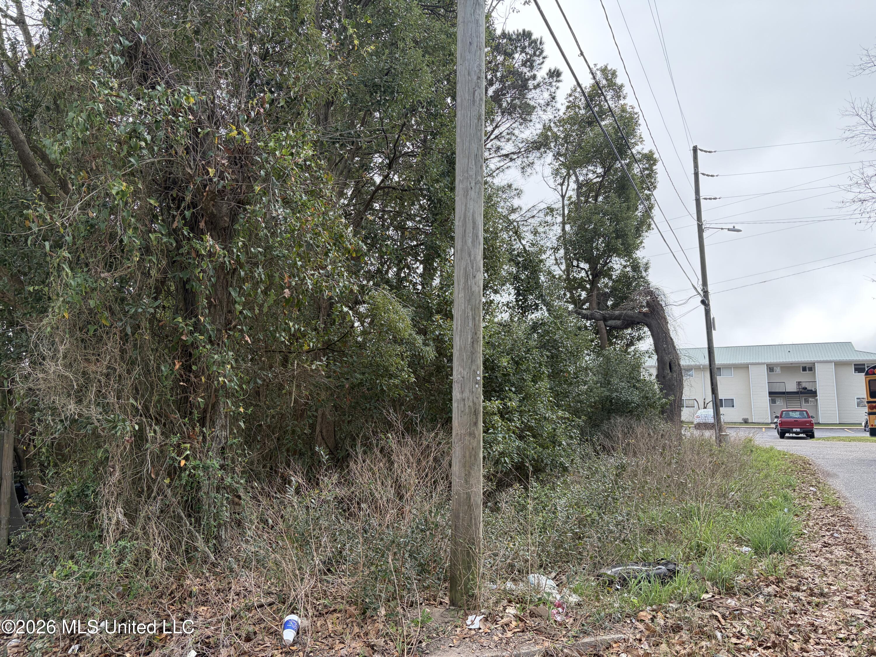 205 2nd Avenue Property Photo 5